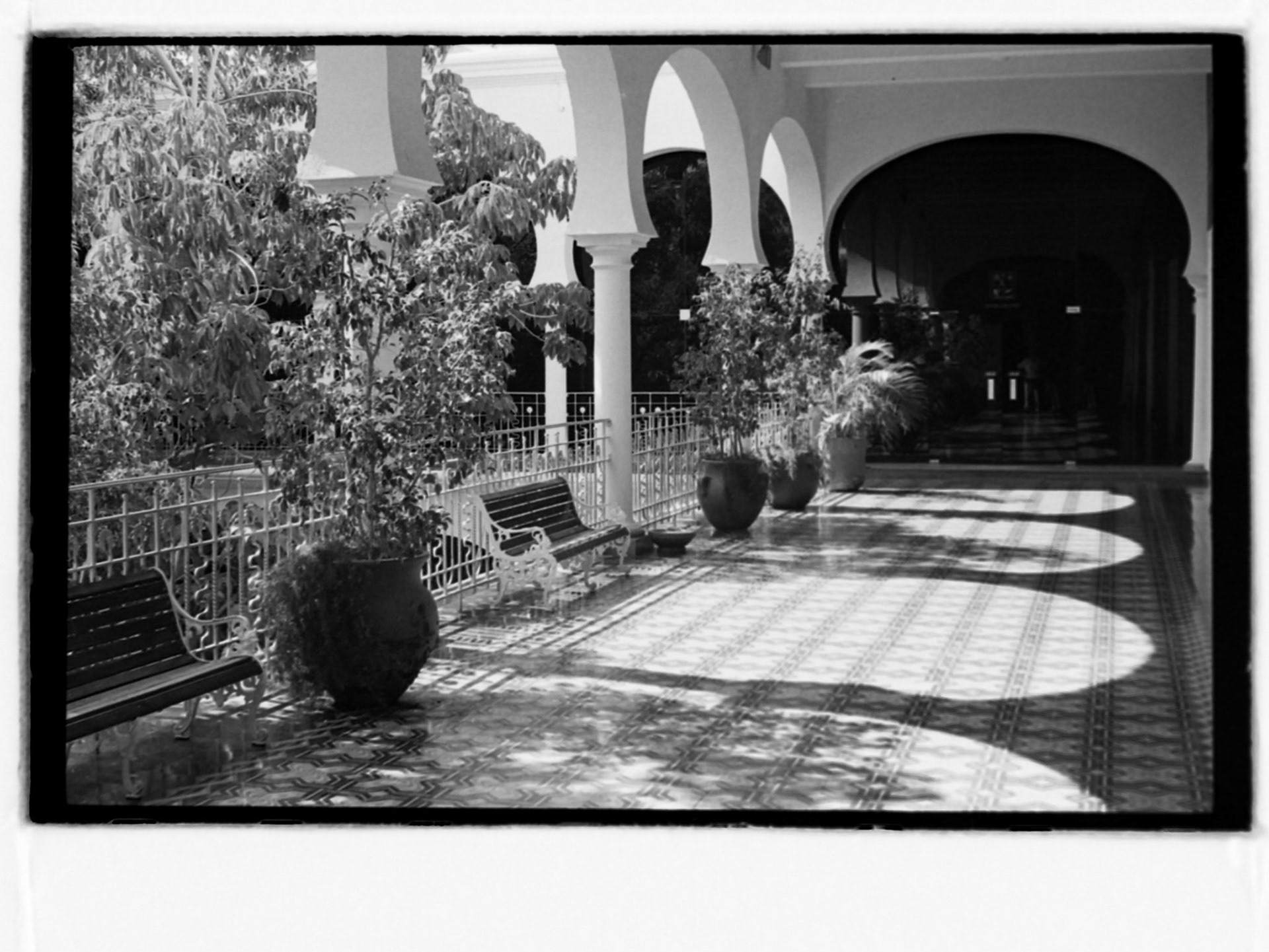 BW film photography