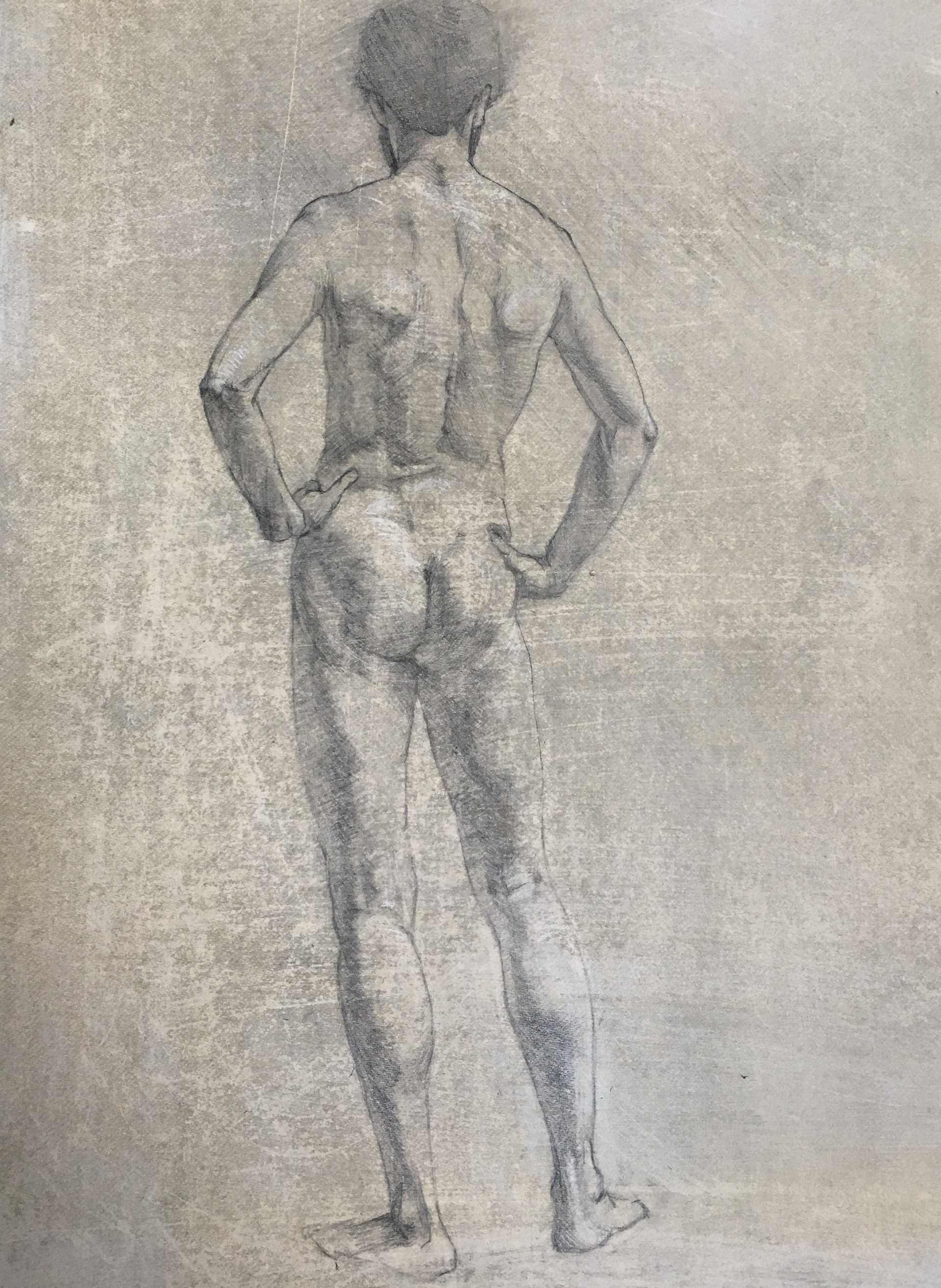 Male Nude. SOLD.  Graphite on hand prepared paper 25 by 35cm. 