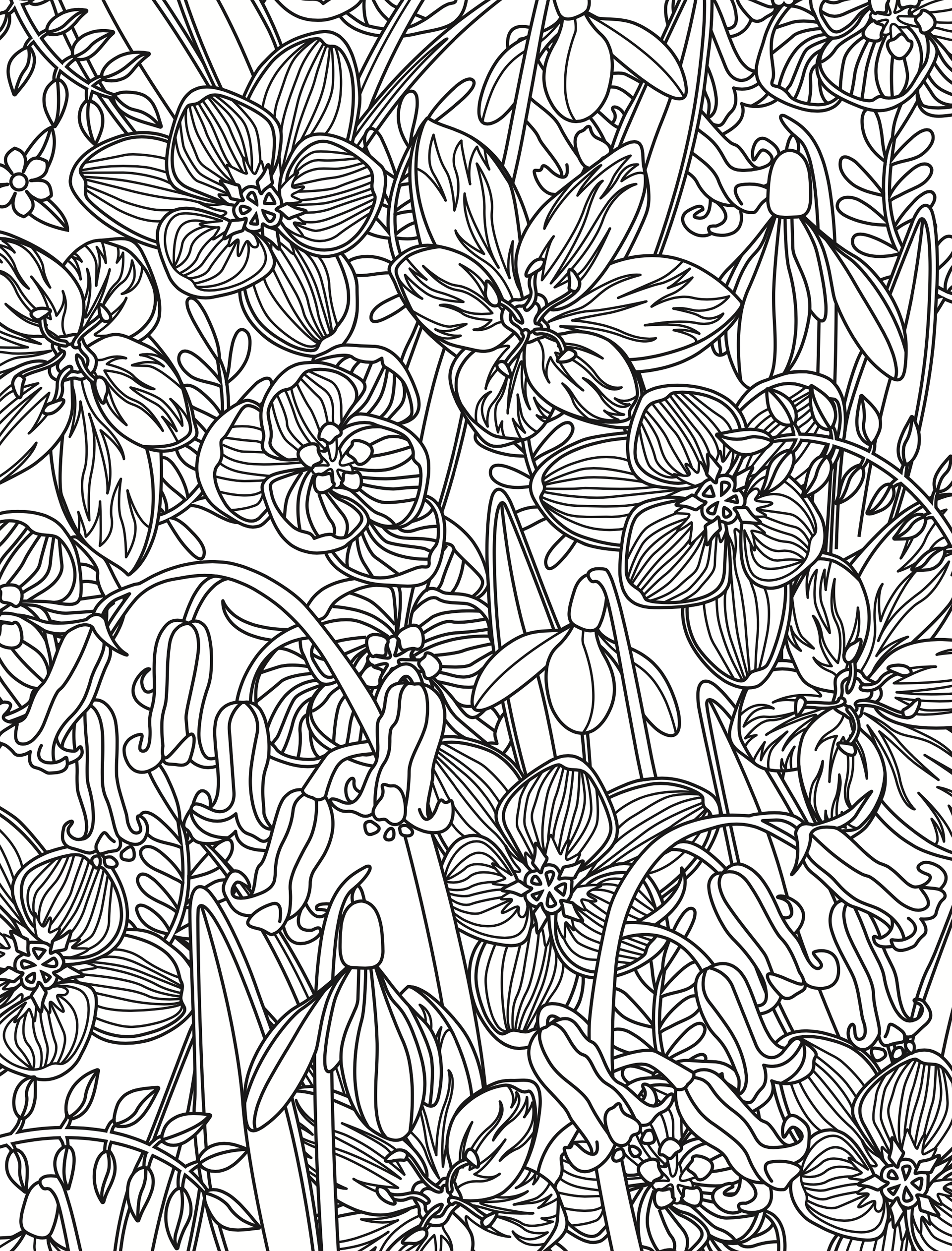 Page illustration from one of this year’s colouring book commissions.