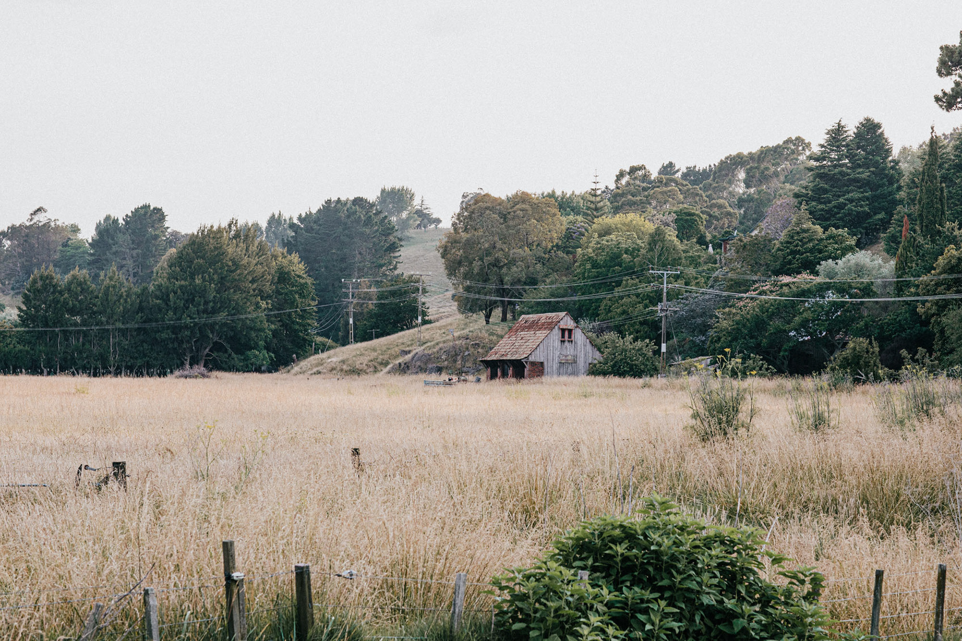 Esk Valley farm view