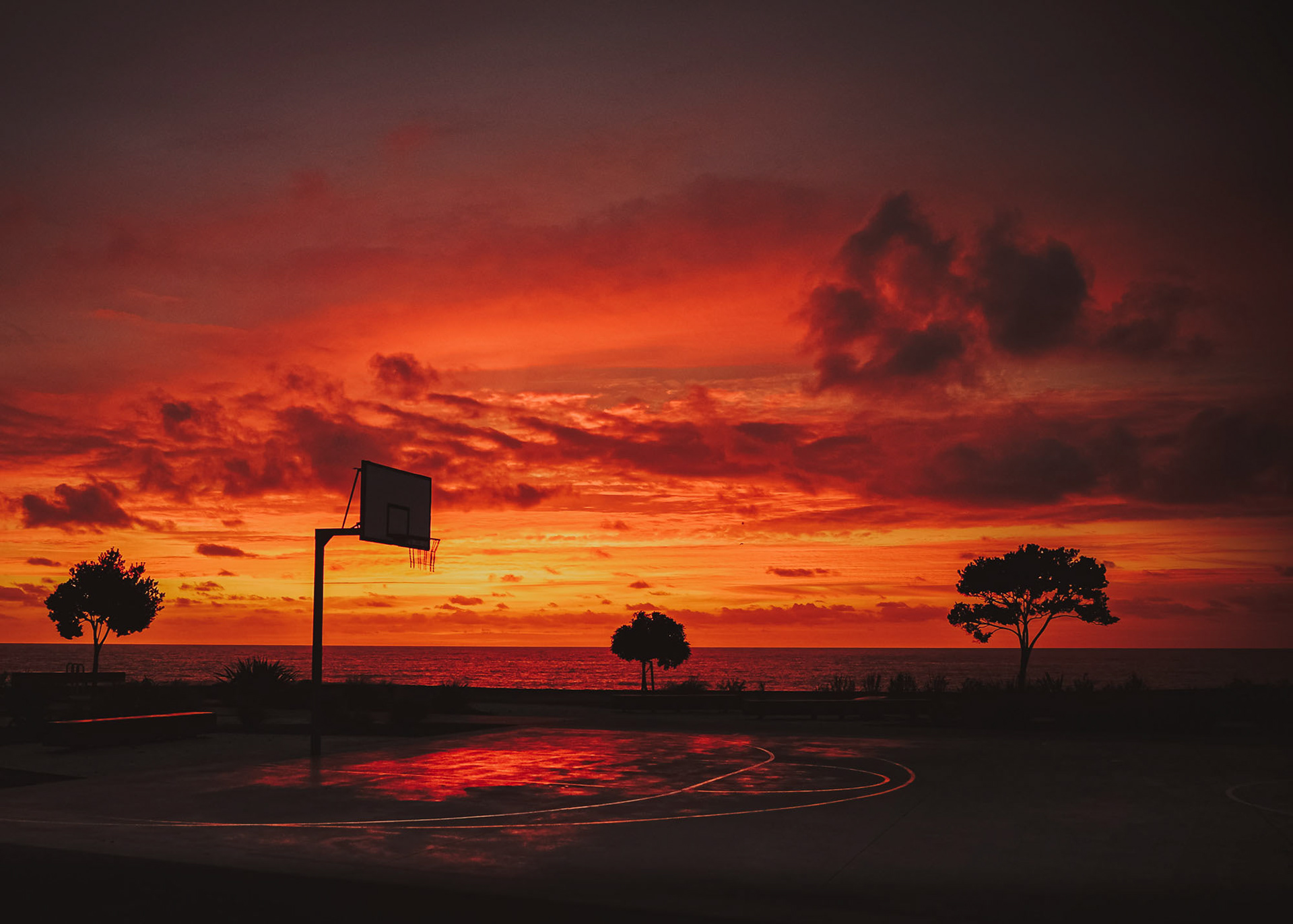 Napier's Marine Parade, early morning sunrise across the Reef Garden's basketball court