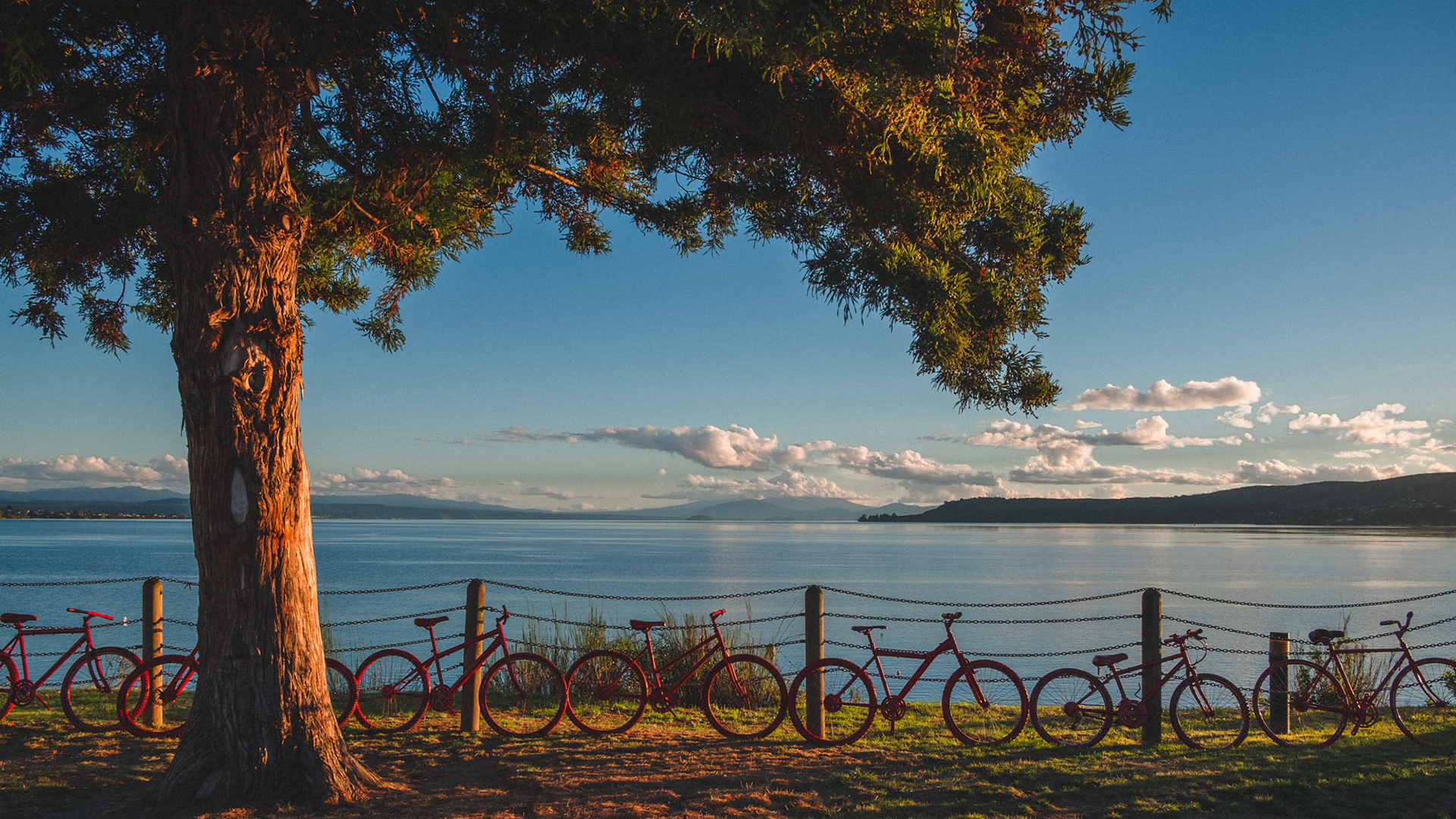 Lake Taupo view