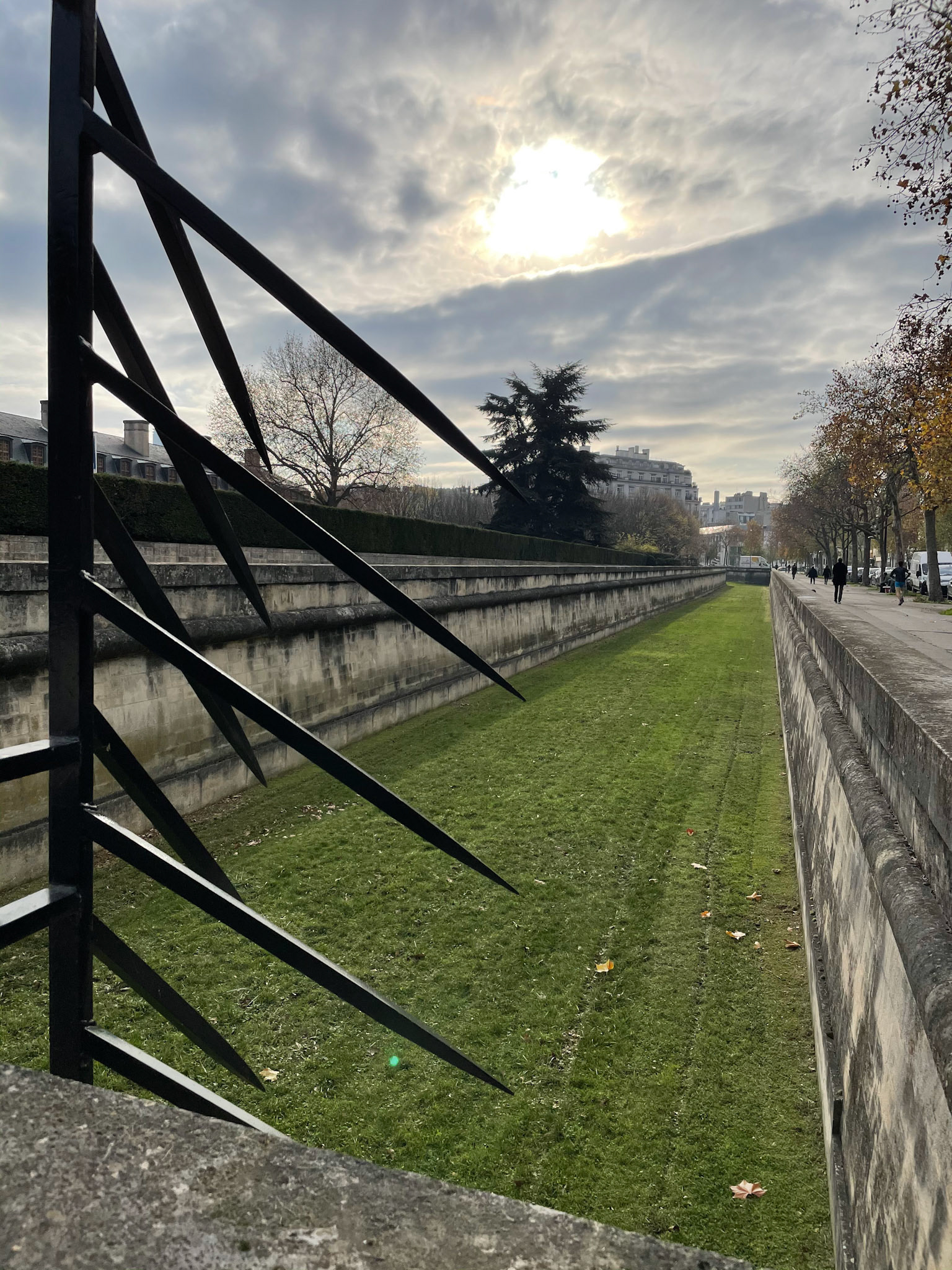25 novembre : Verdure menaçante ♠️