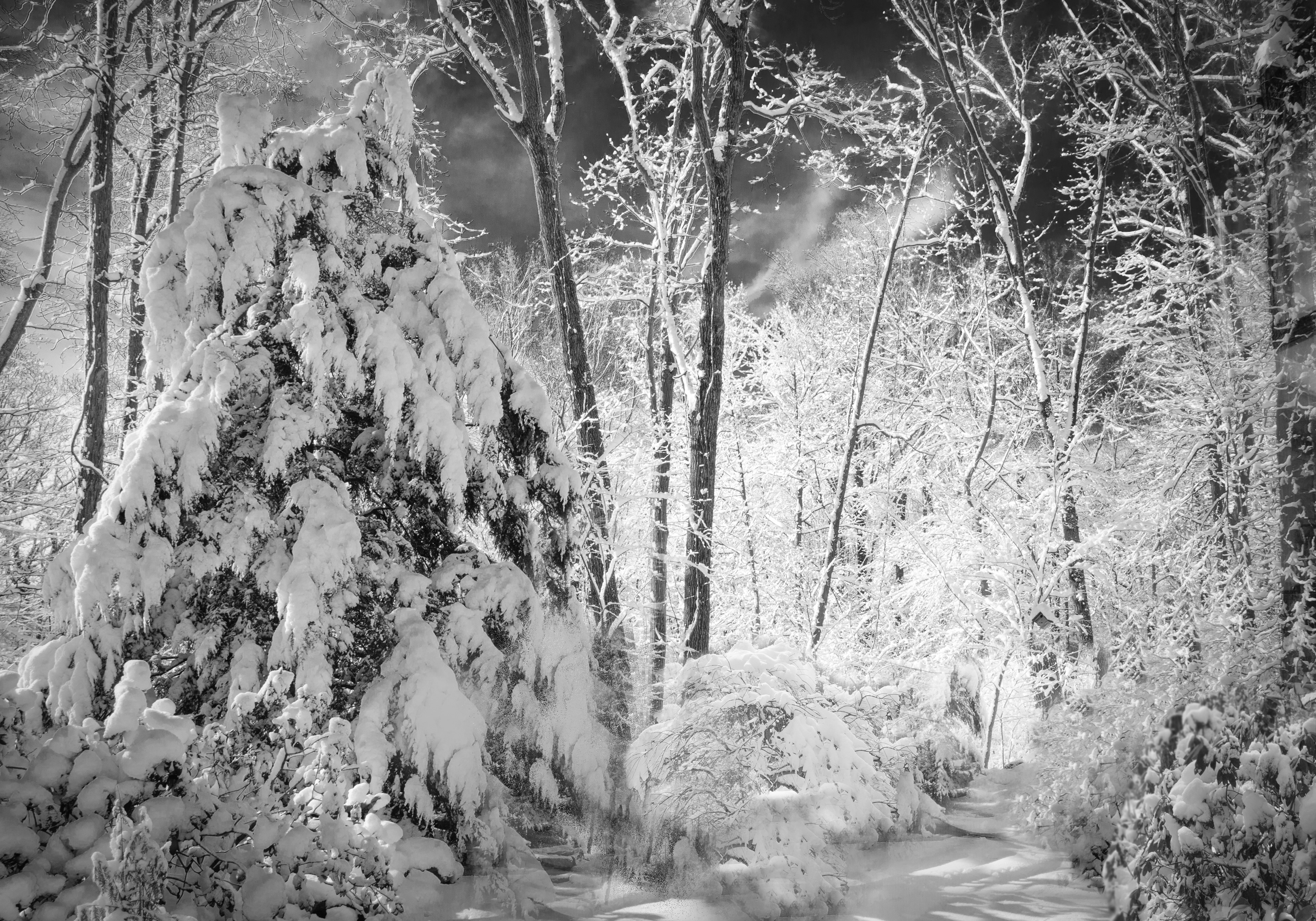 Photography by Elaine Johnston Schuch