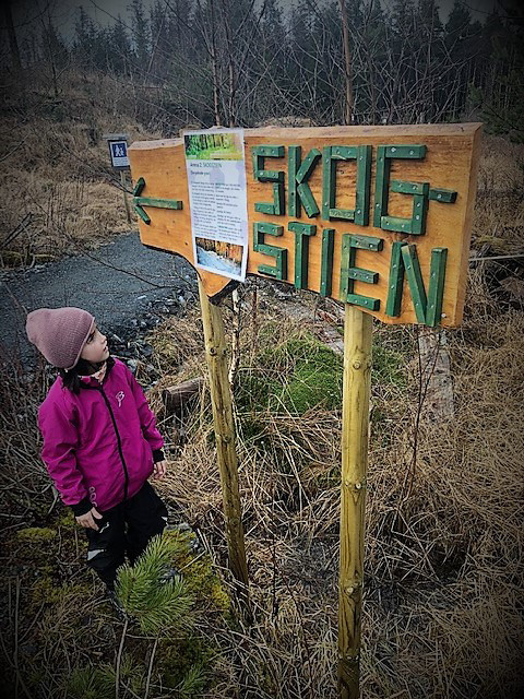 Ved starten av SKOGSTIEN studerer Liv Micheila skiltet og plakaten. Foto: Liv Lillebø (med løyve frå foreldra til publisering).