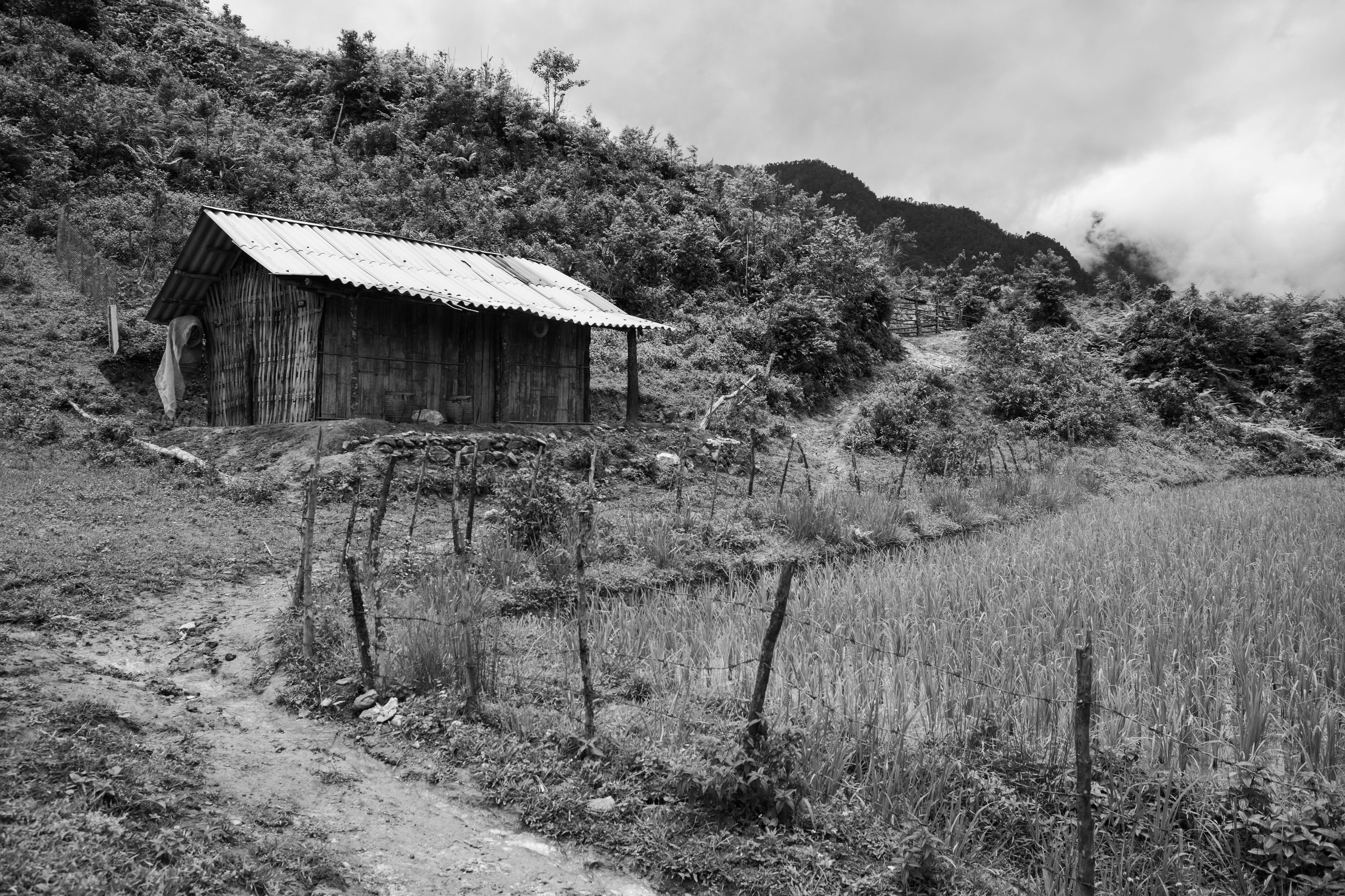 In the nature-filled village of Ta Van, lives a group of around 2,000 members of the Black Hmong ethnicity. Black Hmong people can be found all over Asia, in rural regions such as China and Laos. Those of the tribe that live in Sapa originally migrated from China, but the community has now lived in Vietnam for over 300 years. Despite the fact their home is in Vietnam, Geng and her community don’t identify as Vietnamese, they speak Hmong language and identify as simply people of the Black Hmong Tribe. Most villagers are unable to even speak fluent Vietnamese. The Village is situated in the mountains of Northern Vietnam, a 40 minute, pothole-riddled drive, away from the hustle and bustle of Sapa City. In it’s beginning in 1912, the heaving tourist city of Sapa, was a base for beautiful treks, but as time went by, the city grew larger, and now it stands prominently in the mountains with a thriving population of nearly 10,000 people, and around 3 million visitors per year.