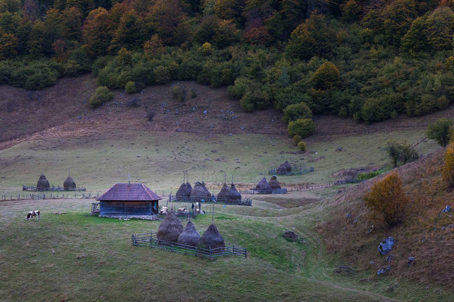 Fundătura Ponorului