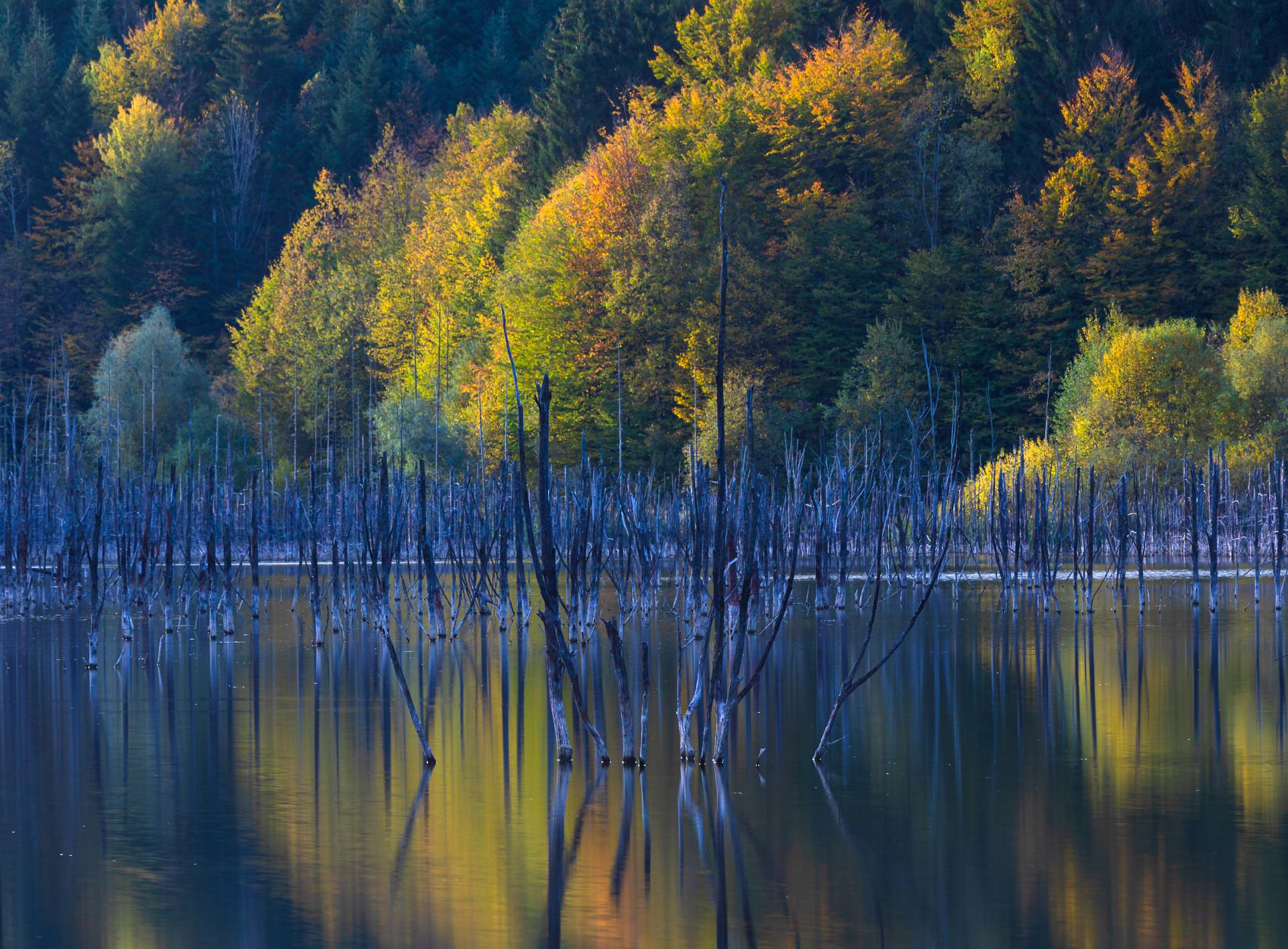 Lacul Cuejdel