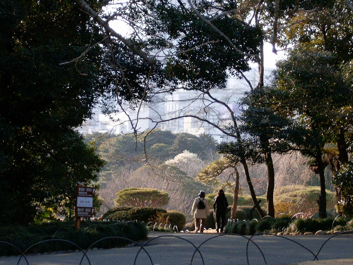 SONY DSC