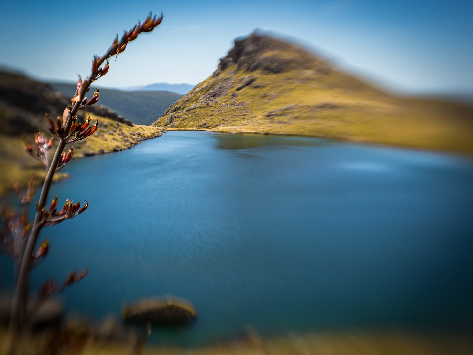 Iron Lake