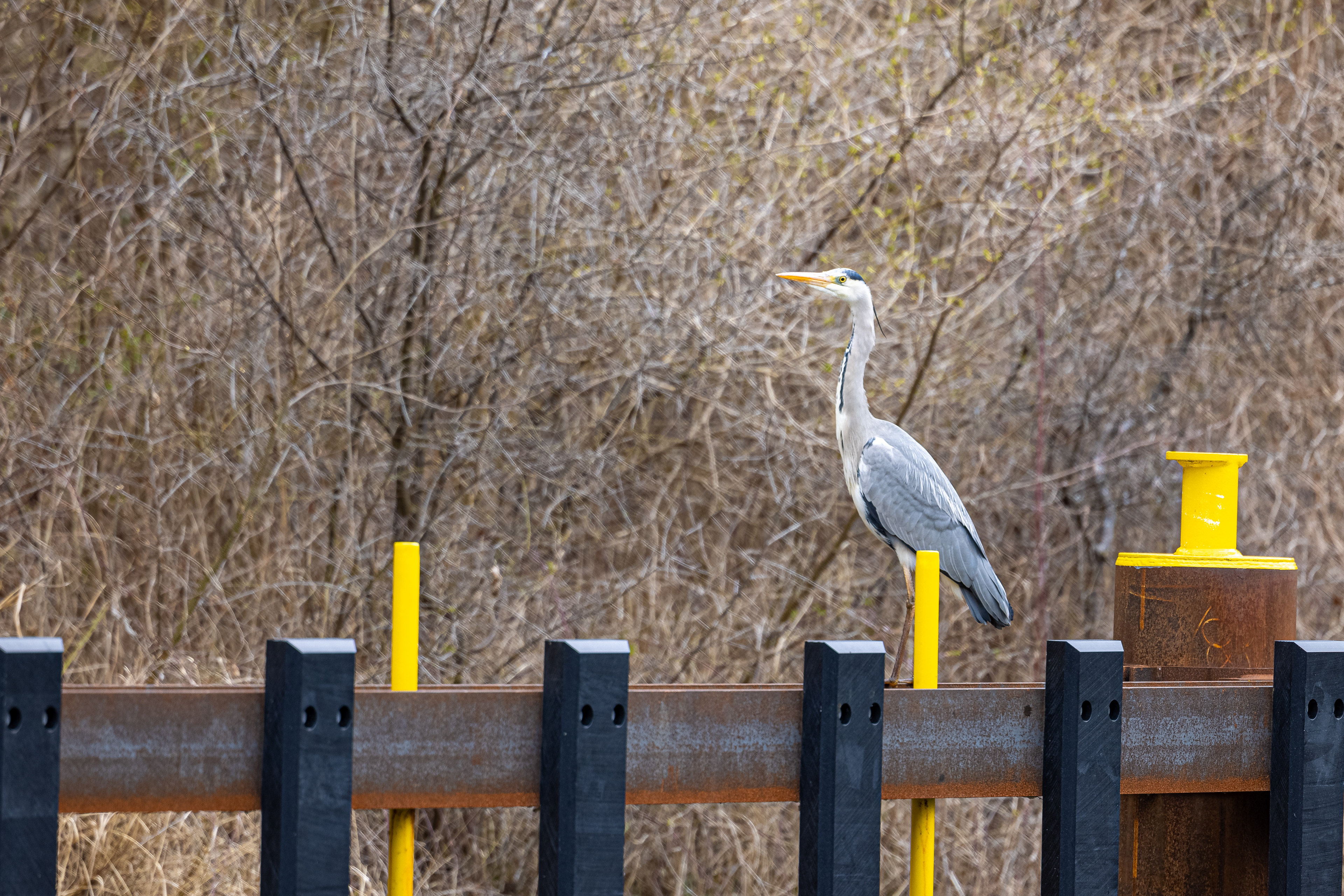 Viele Boote kommen hier nicht vorbei.