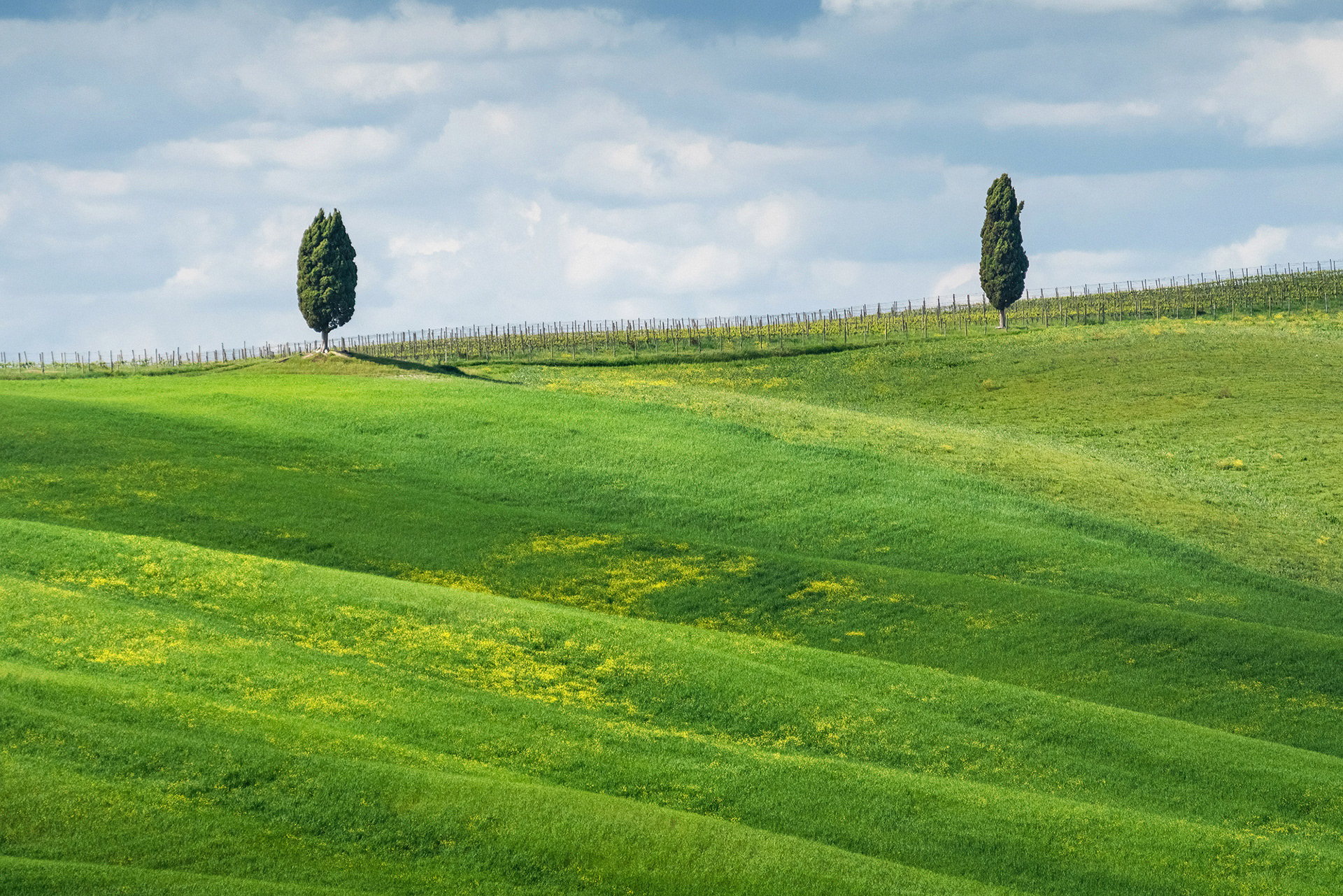 Val d'Orcia, Tuscany