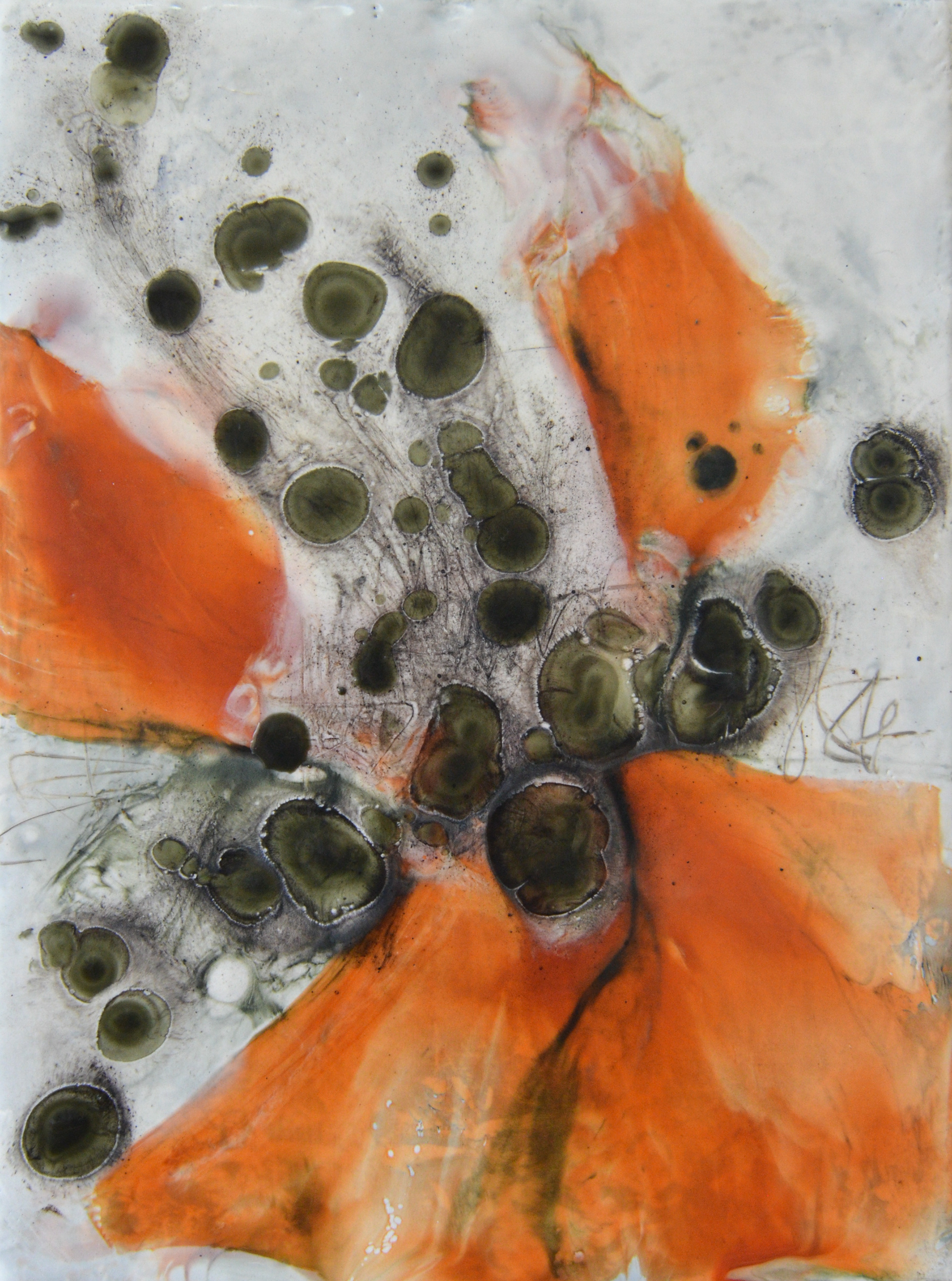SOLD '  Spirited Poppy ' 9x12 in black floater frame