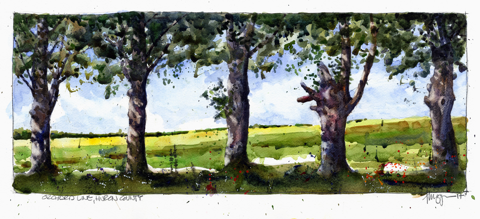 Orchard Line 2017