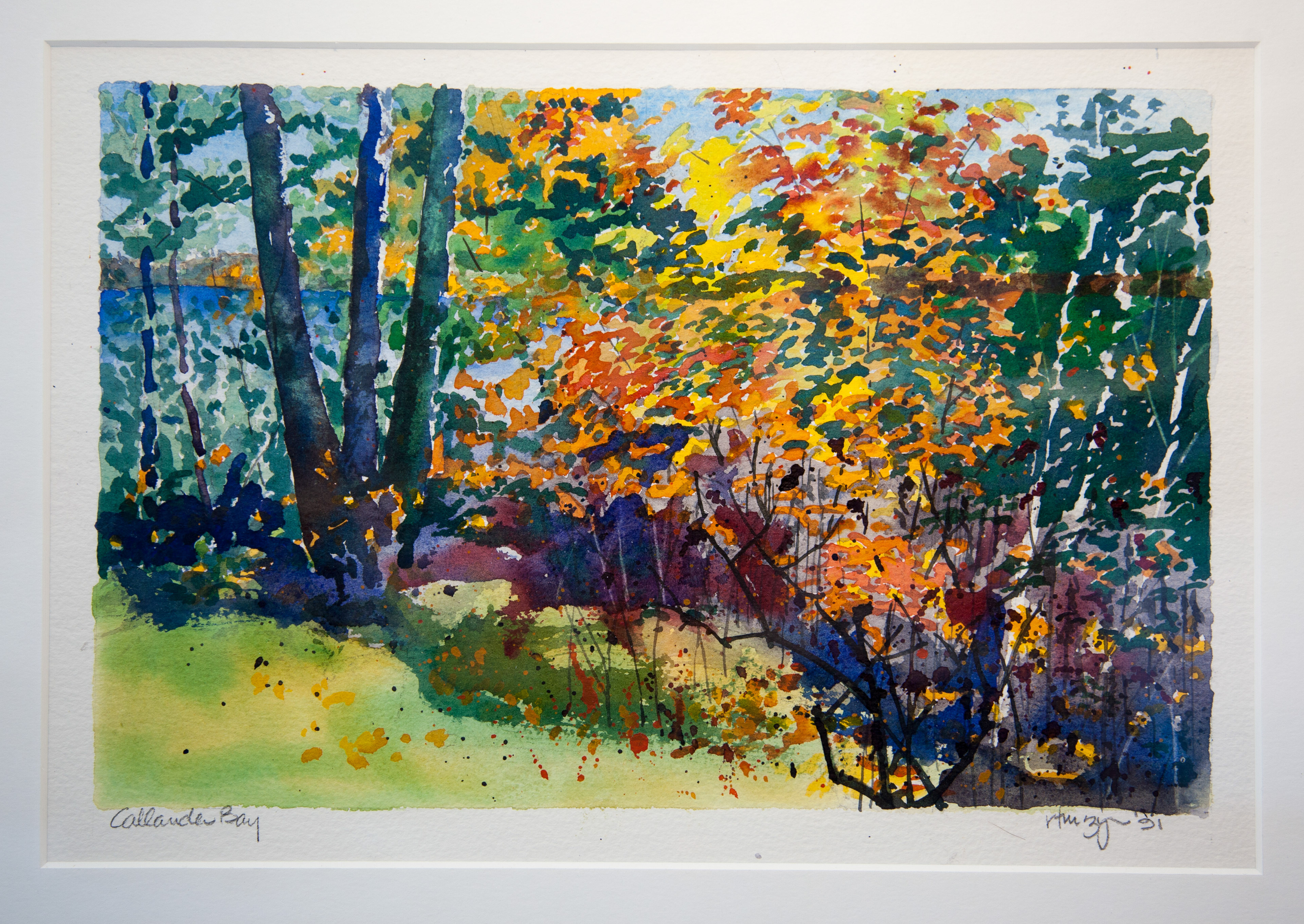 'Callandar Bay' 1991