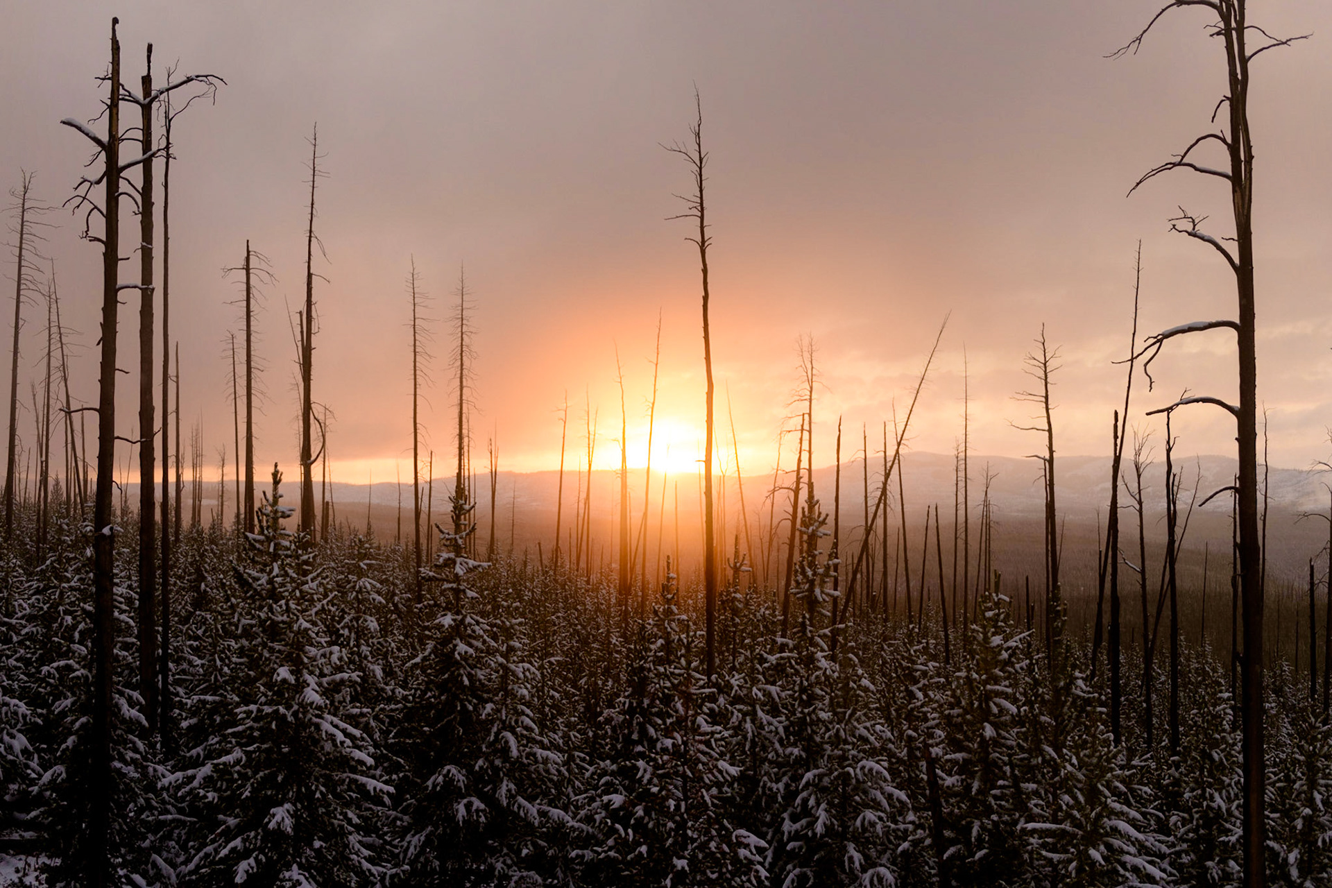 Everything I asked for and more