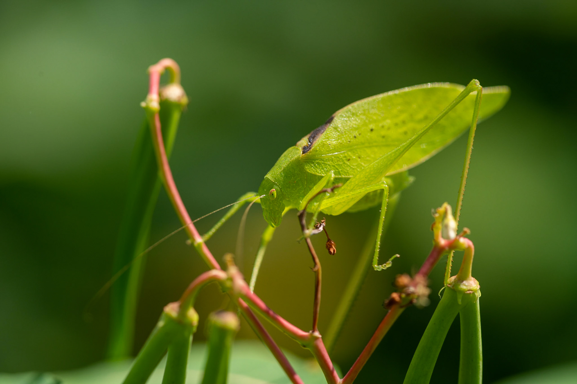 What am I even doing