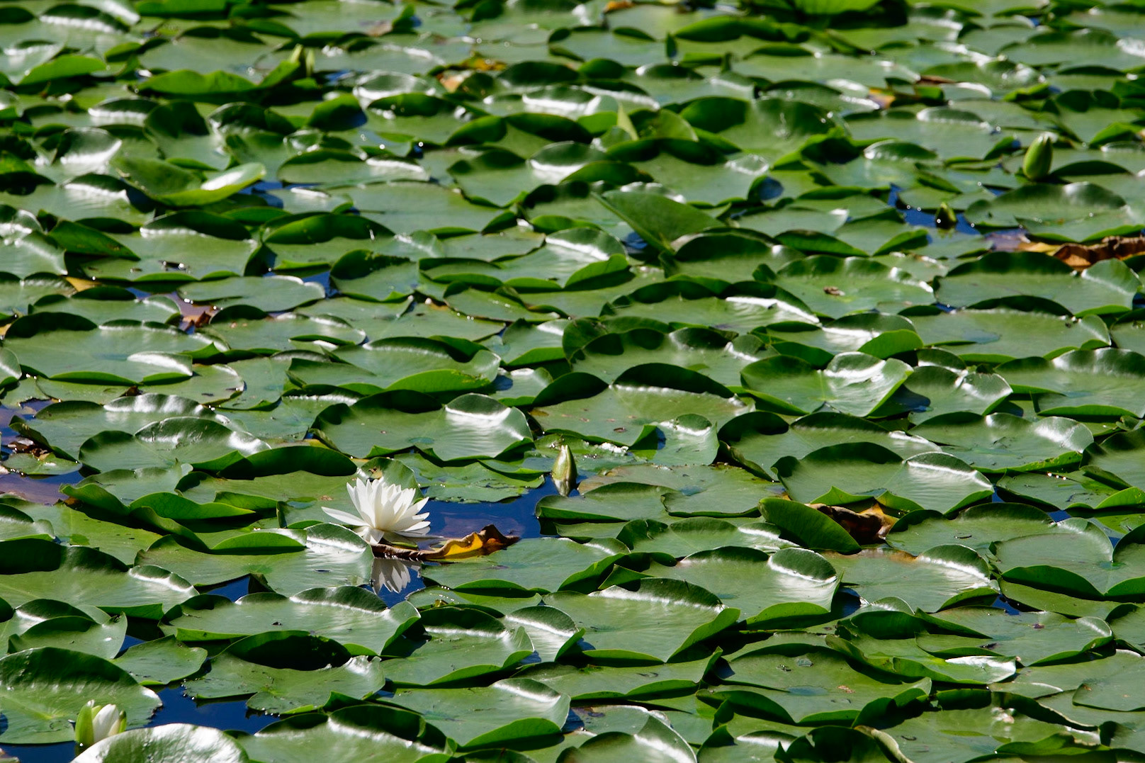 Maybe we'll meet again