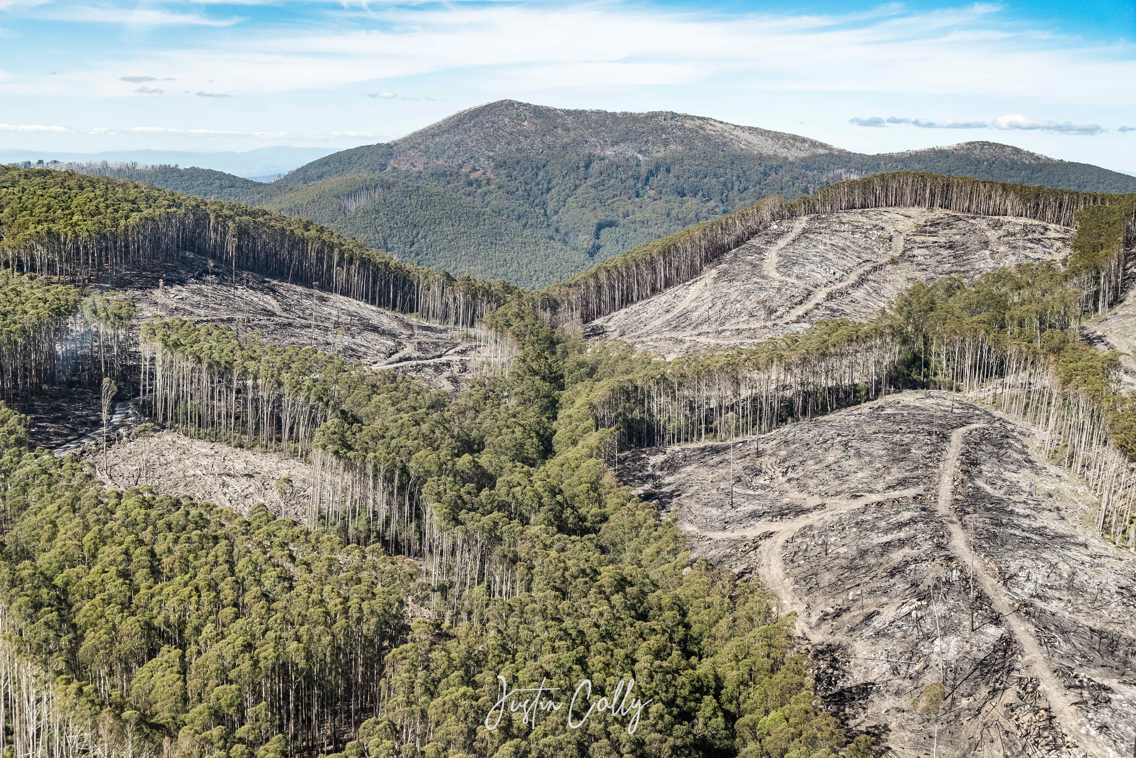 Logged landscape, Rubicon