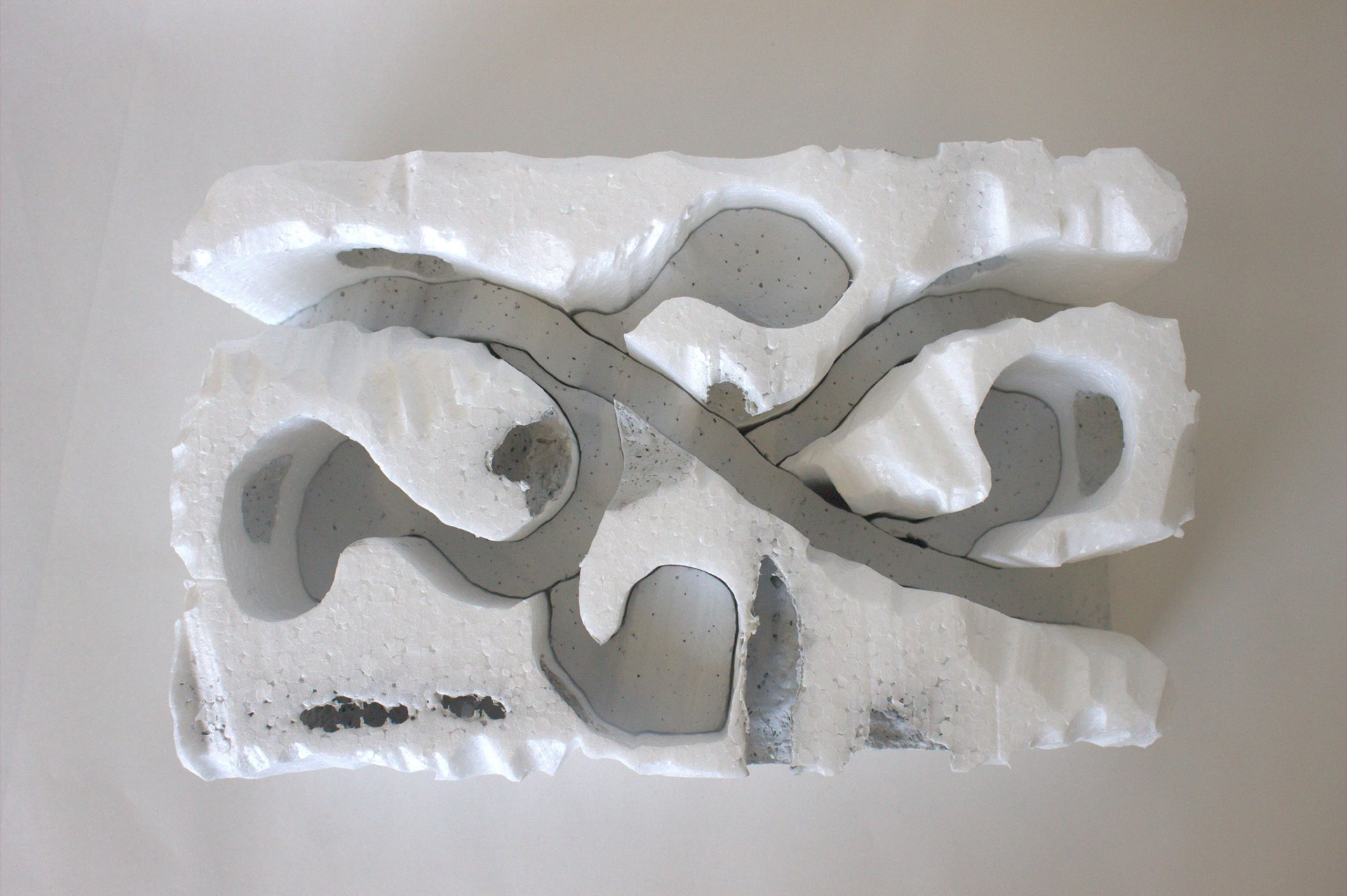 Study Model 1
