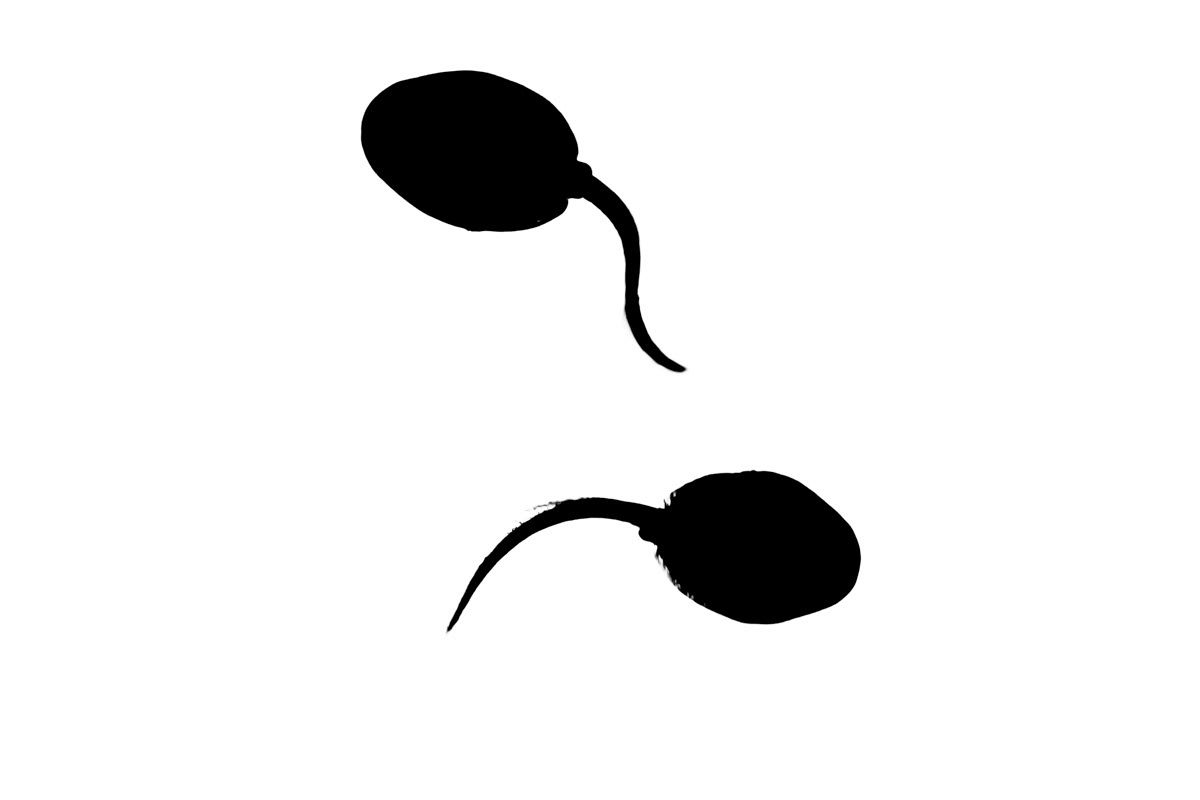 tadpoles