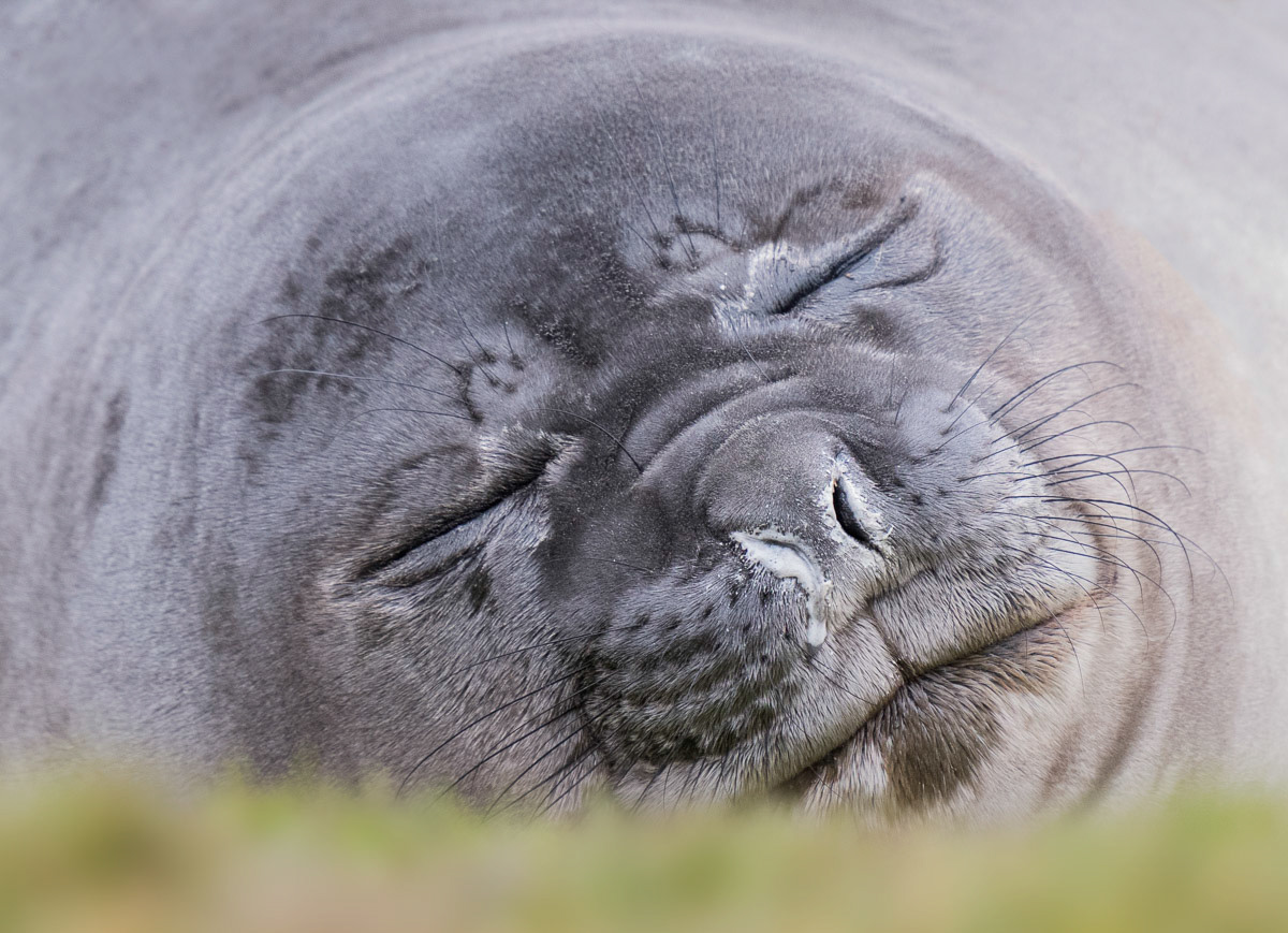 sometimes sleeping is hard