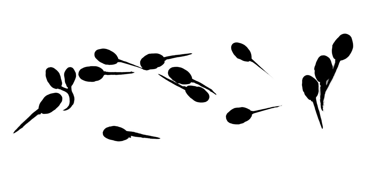 tadpoles