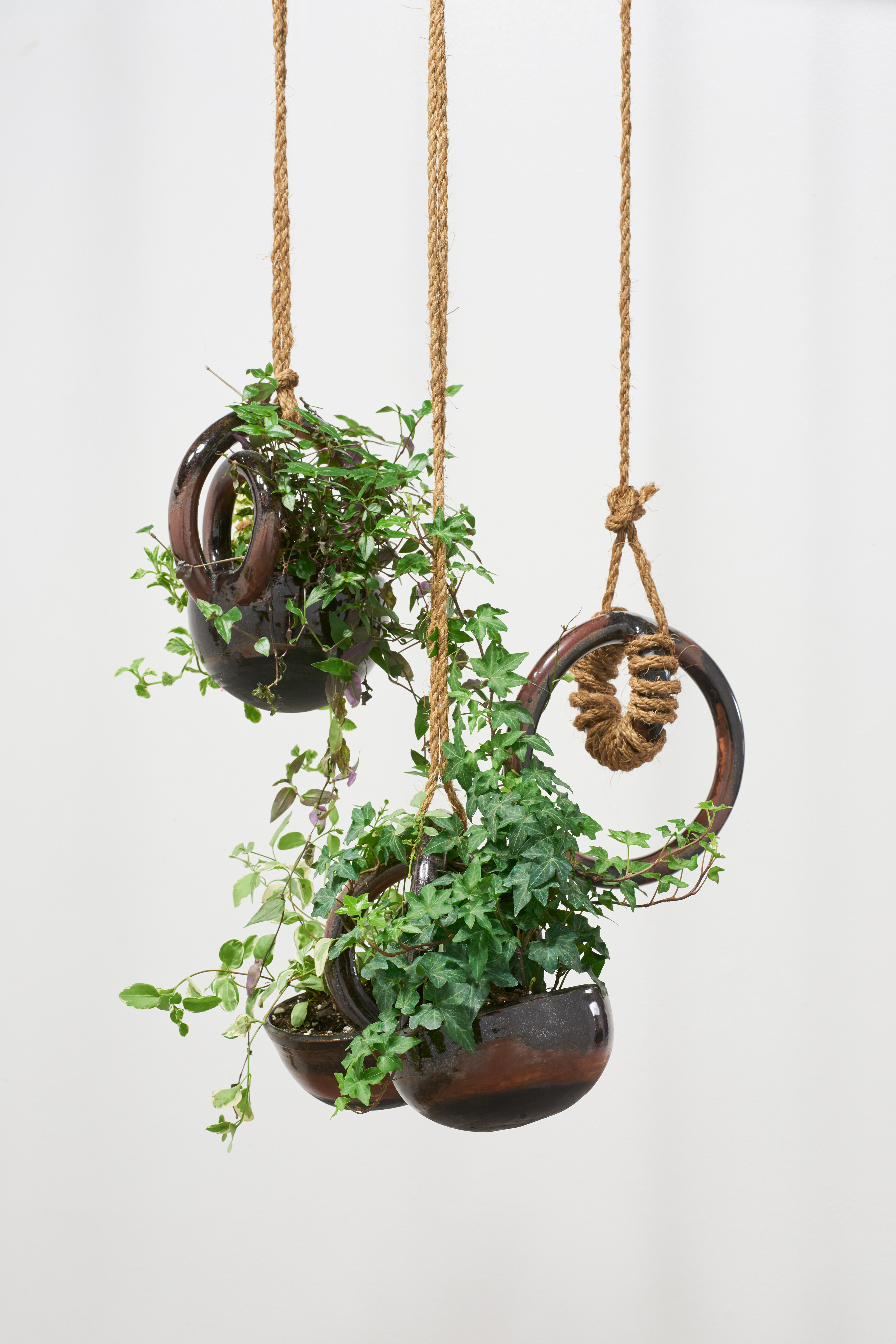 Hanging Baskets, 2018