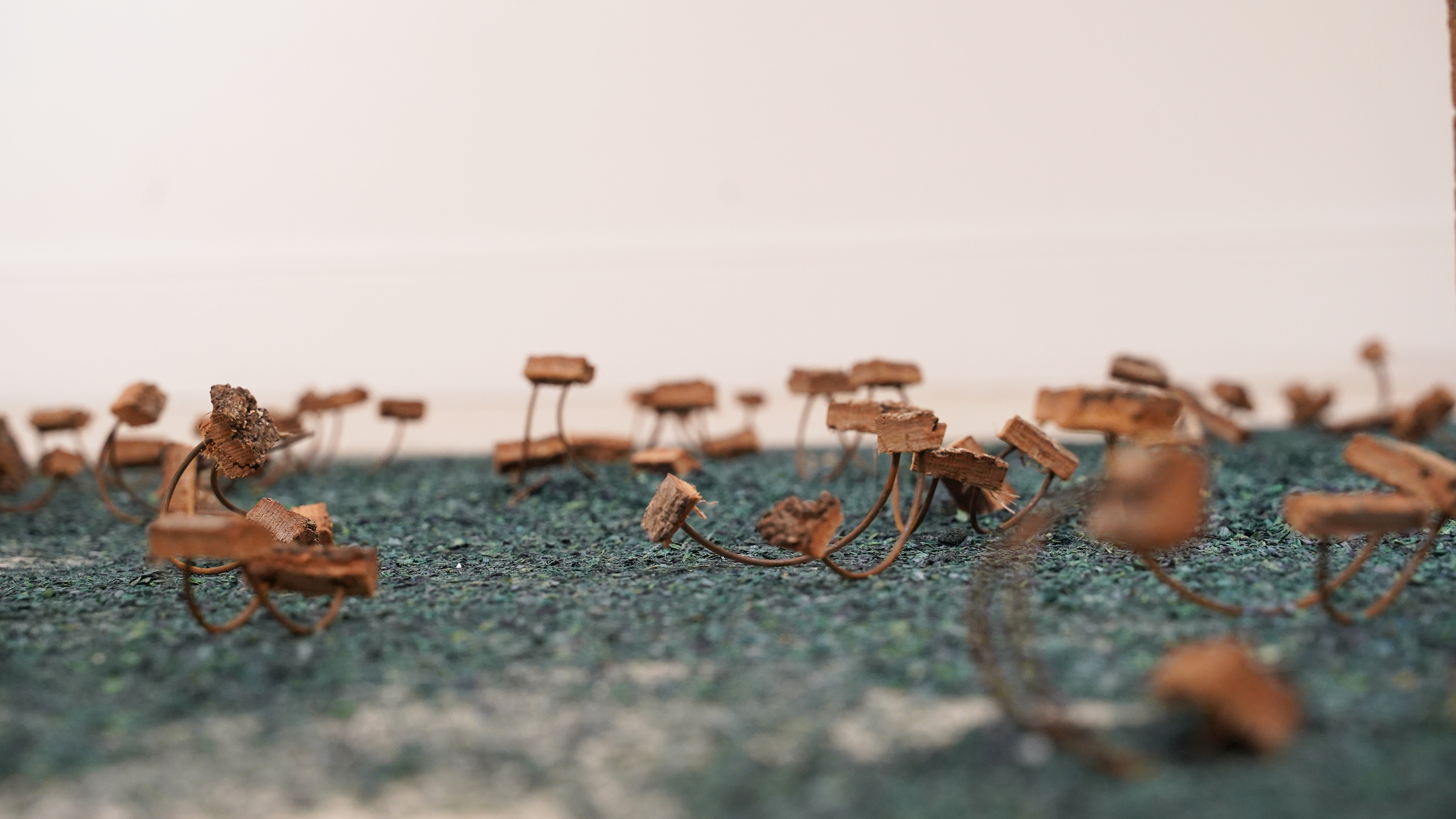 Seeds Install Shot Wood, steel, wood shavings Installation dimensions vary
