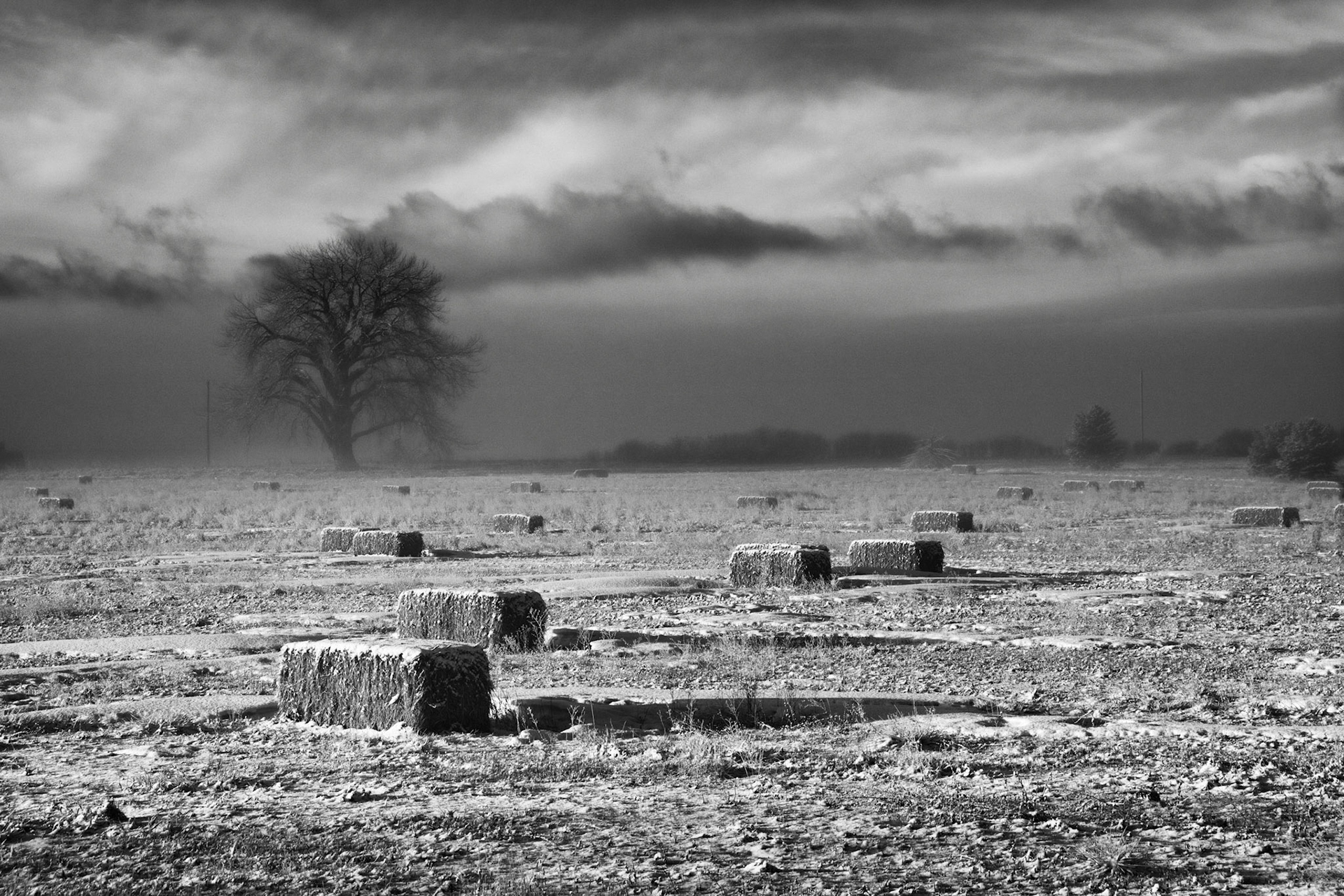 Early morning in Fort Collins