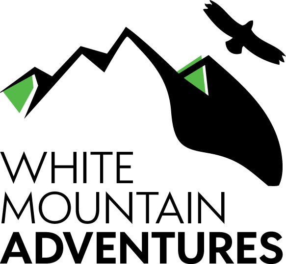 White Mountain Logo After Refresh