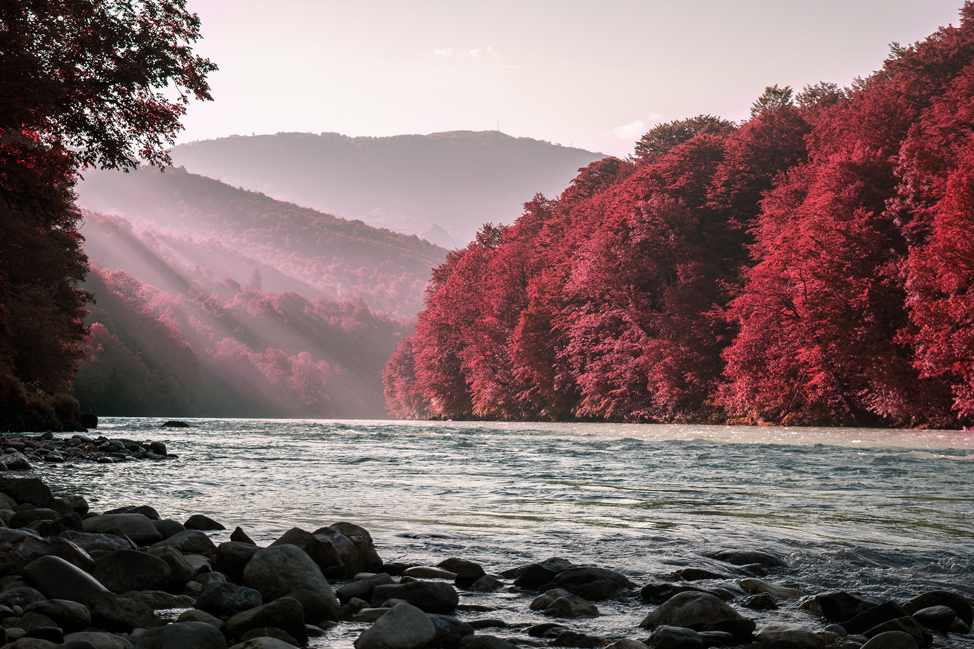Bosnia & Herzegovina, river Drina, Tara
