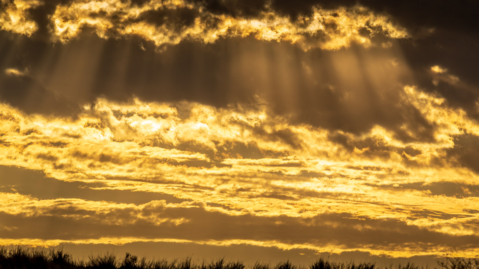 God Rays