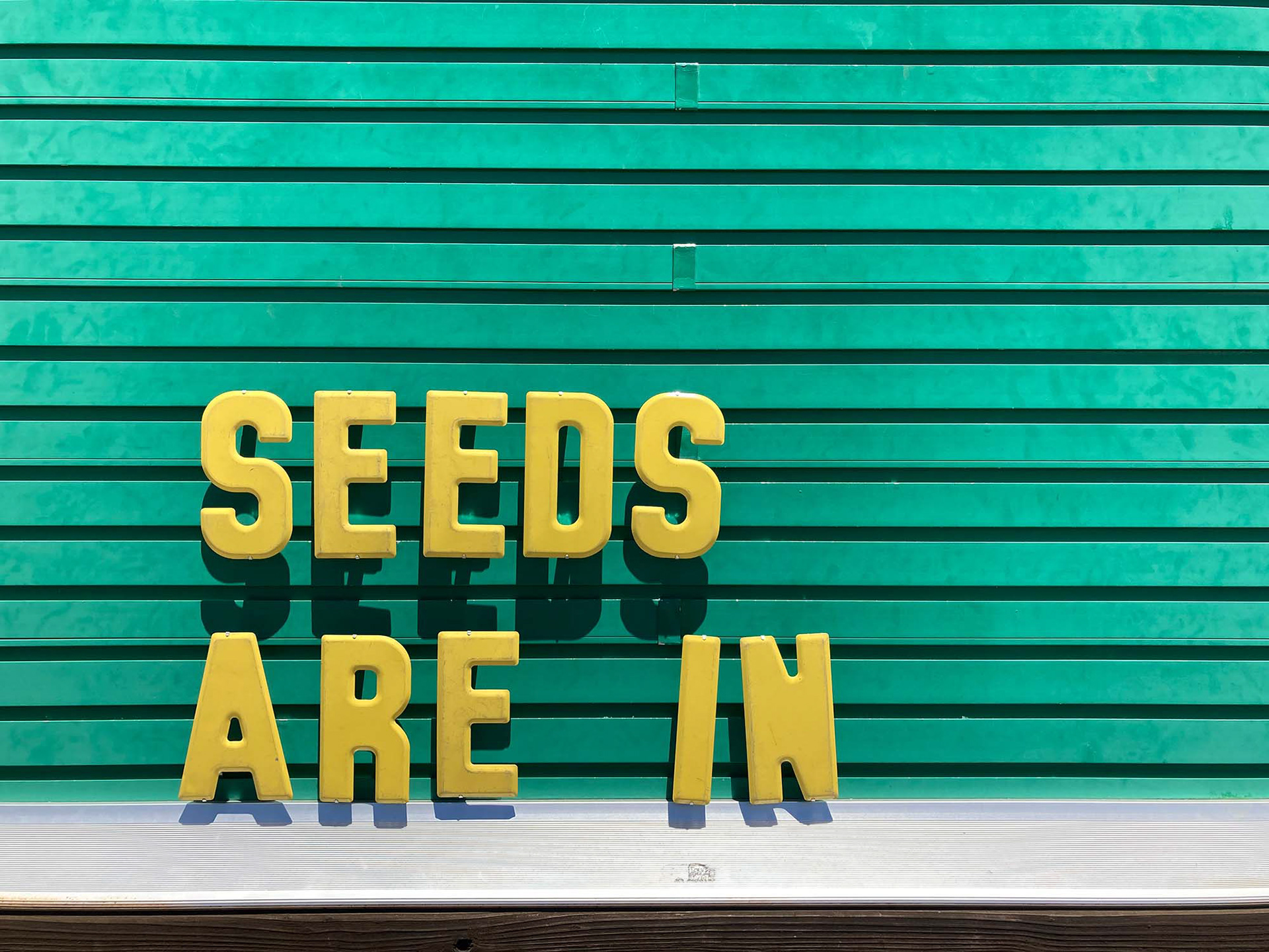 "Seeds Are In" Sign at California Feed Store