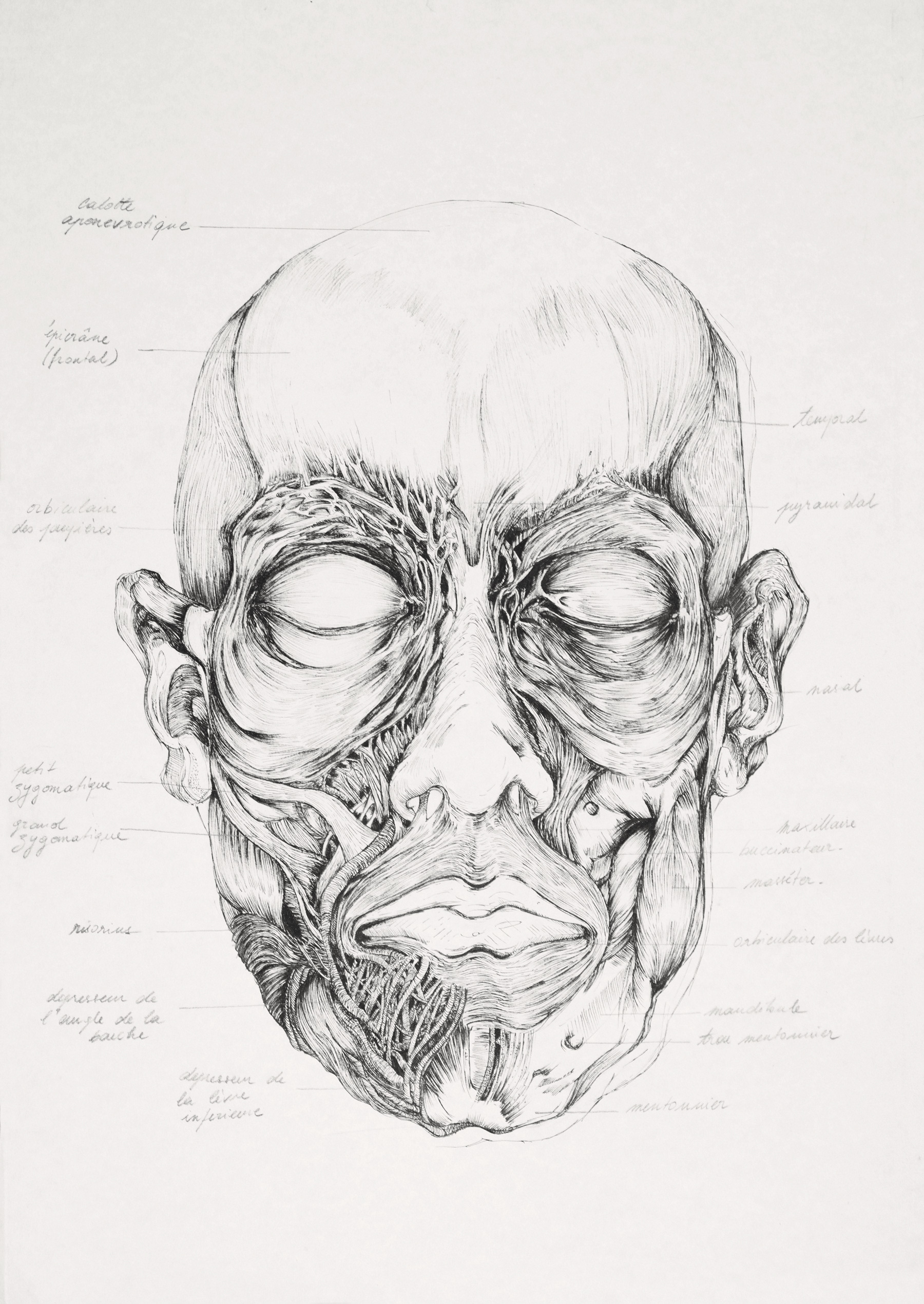 29X42 CM / STYLO À ENCRE MICRON O.OO5 / ©MargauxHuijbregts