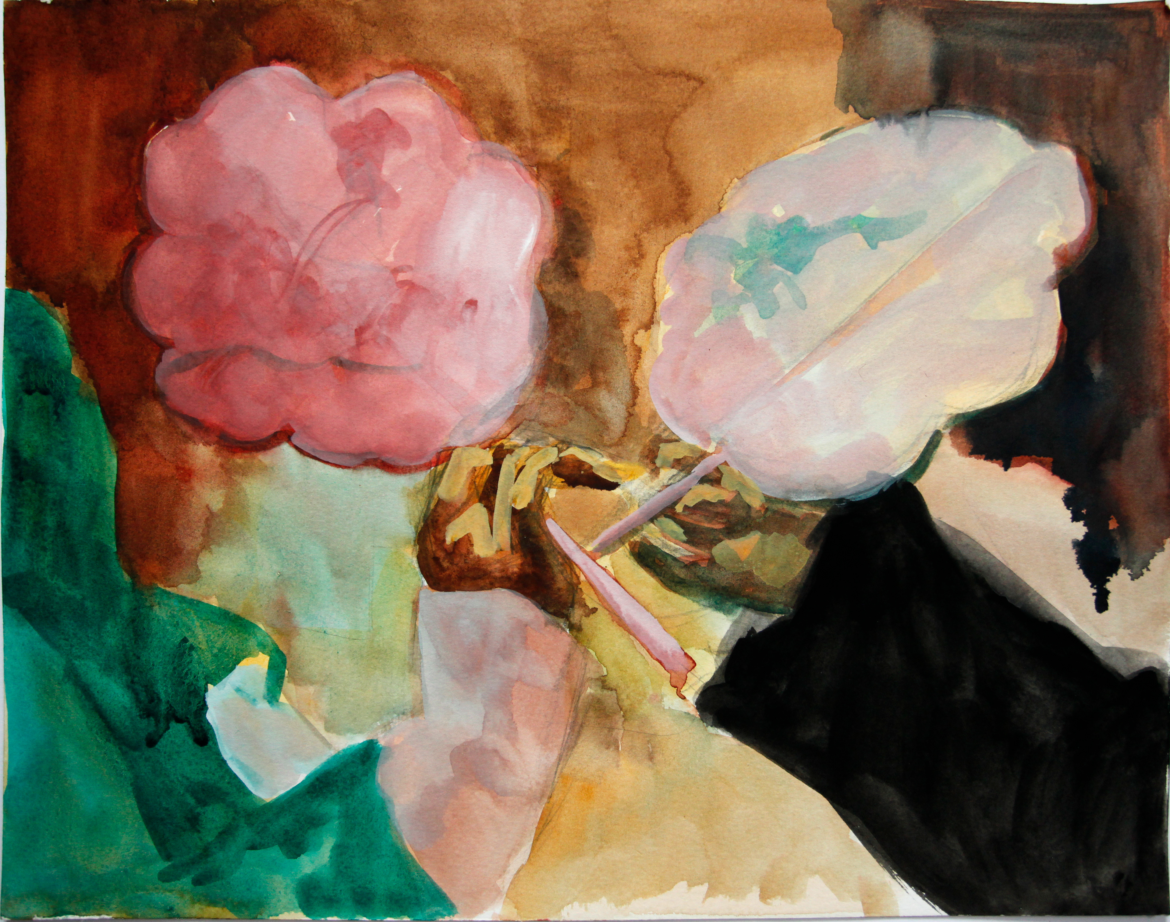 8091 36x48cm