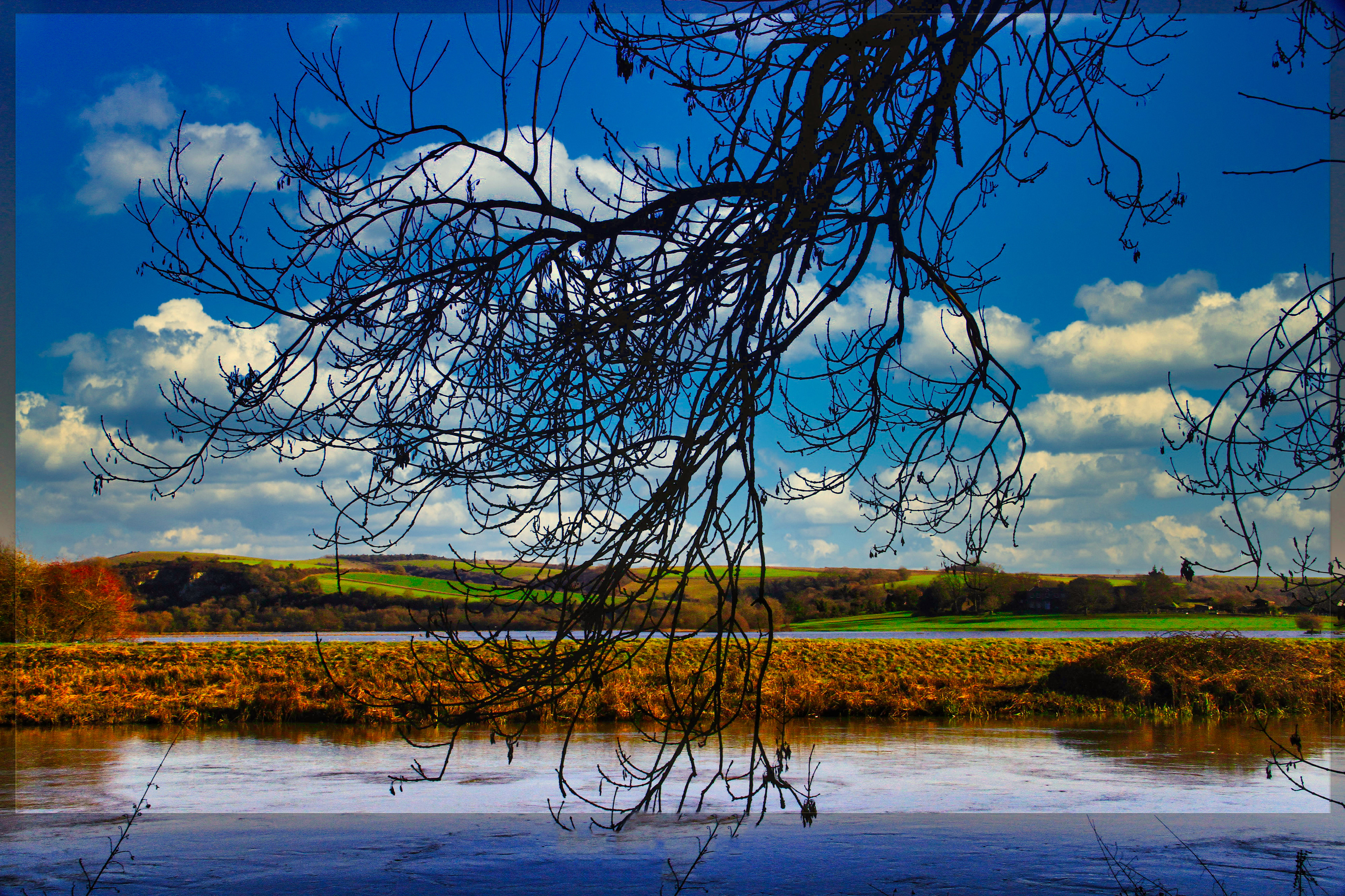 Flood Reflection