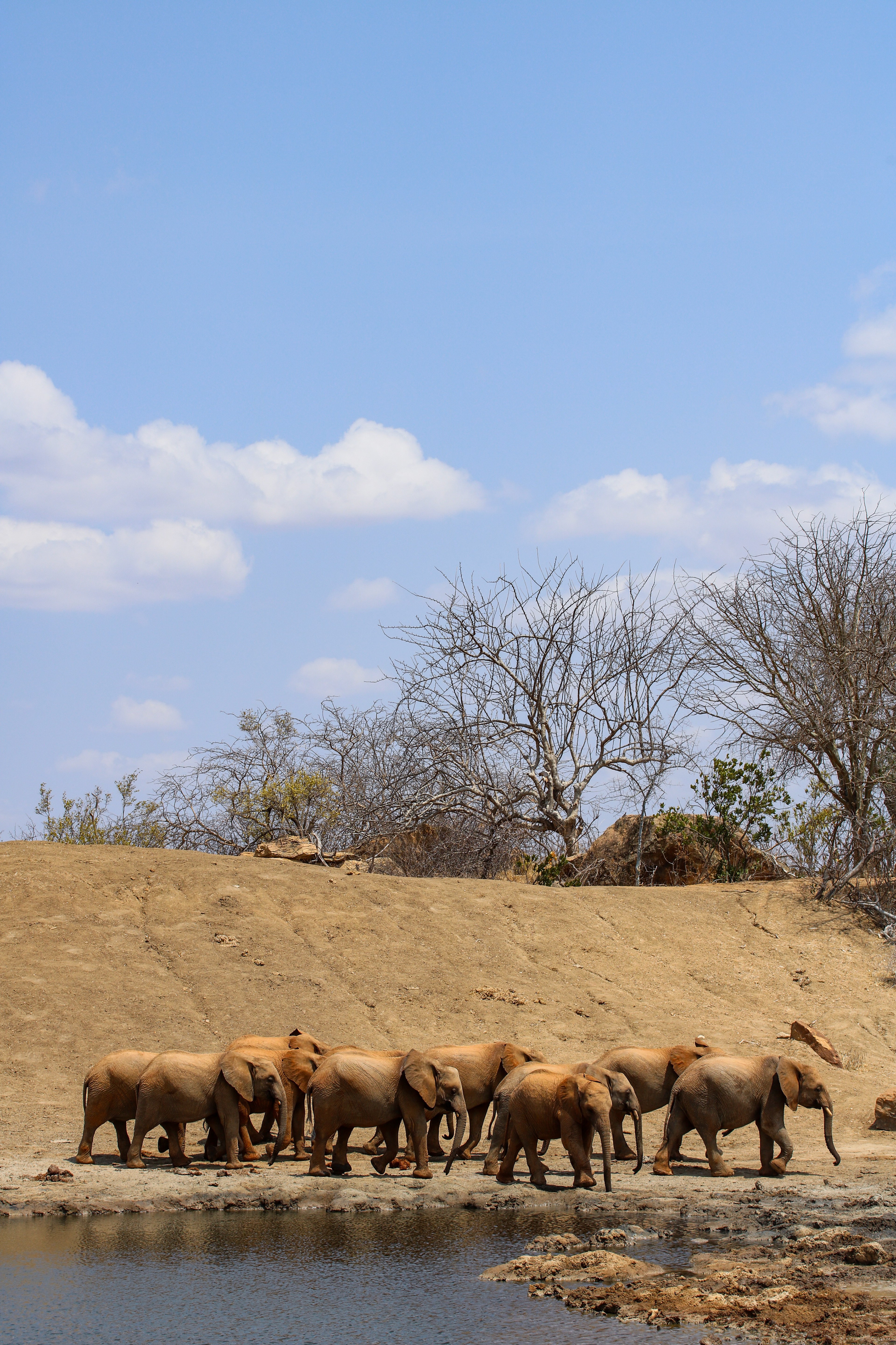 Ithumba, Tsavo East, Kenya