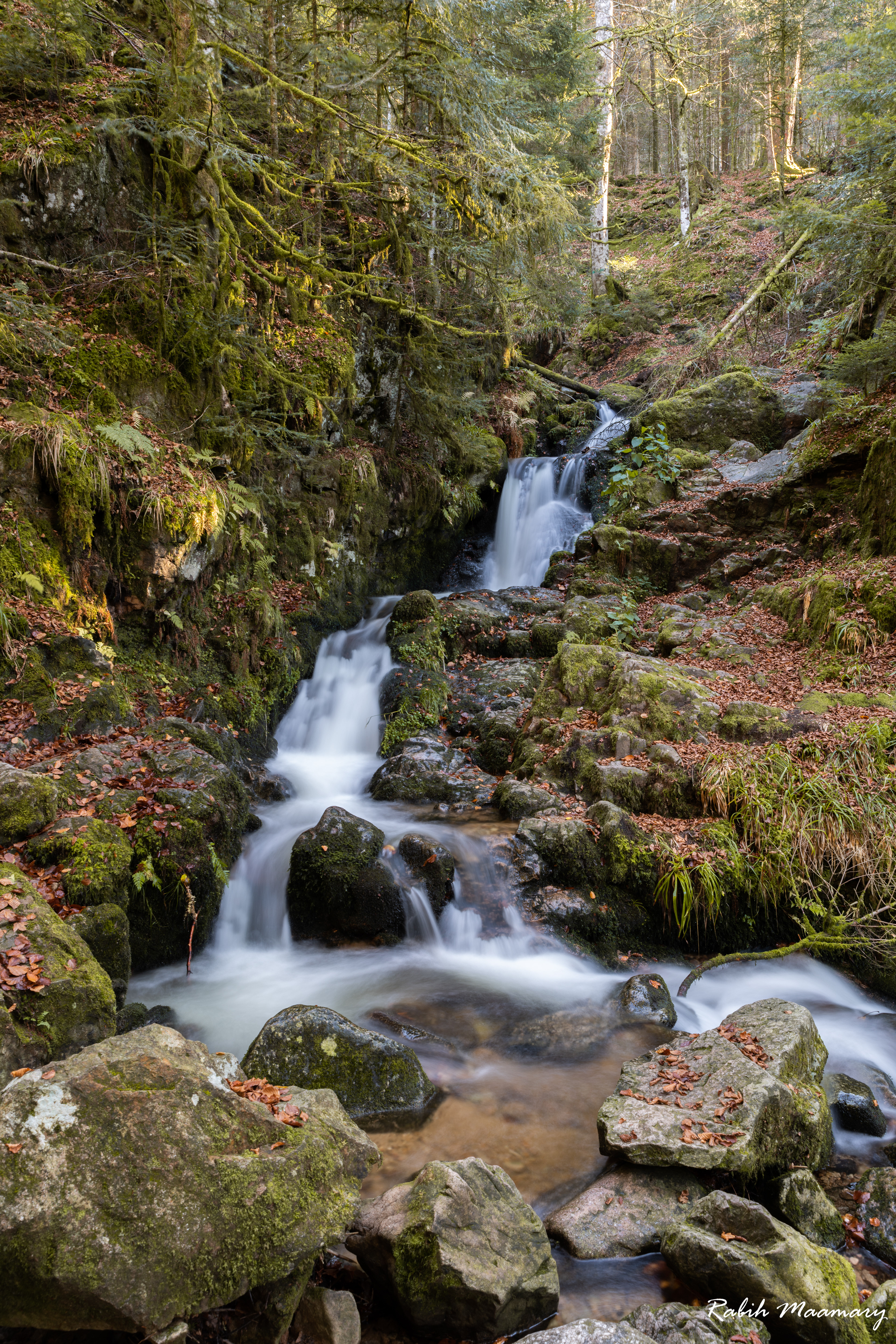 Vosges - France