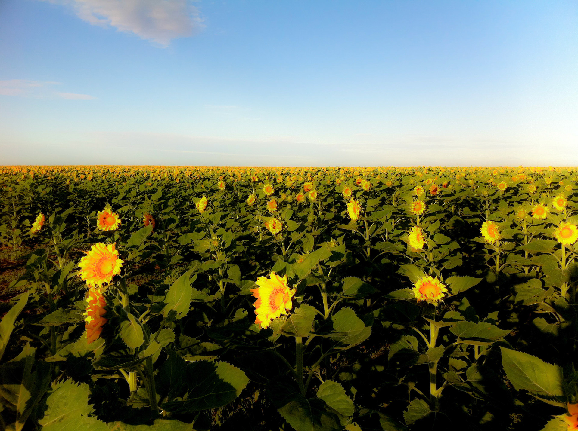 Passing through Nebraska