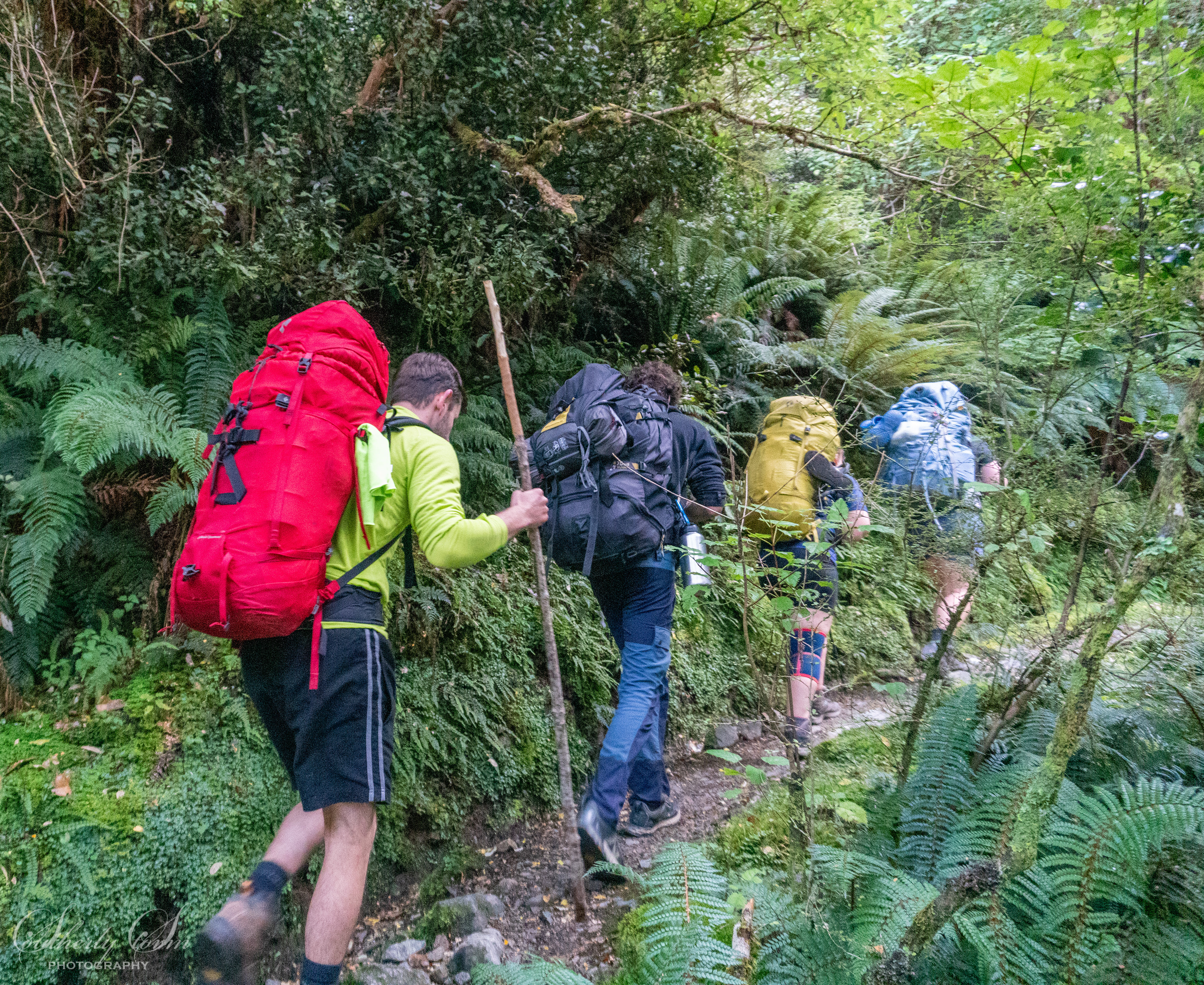 Trampers heading up the Kepler Track