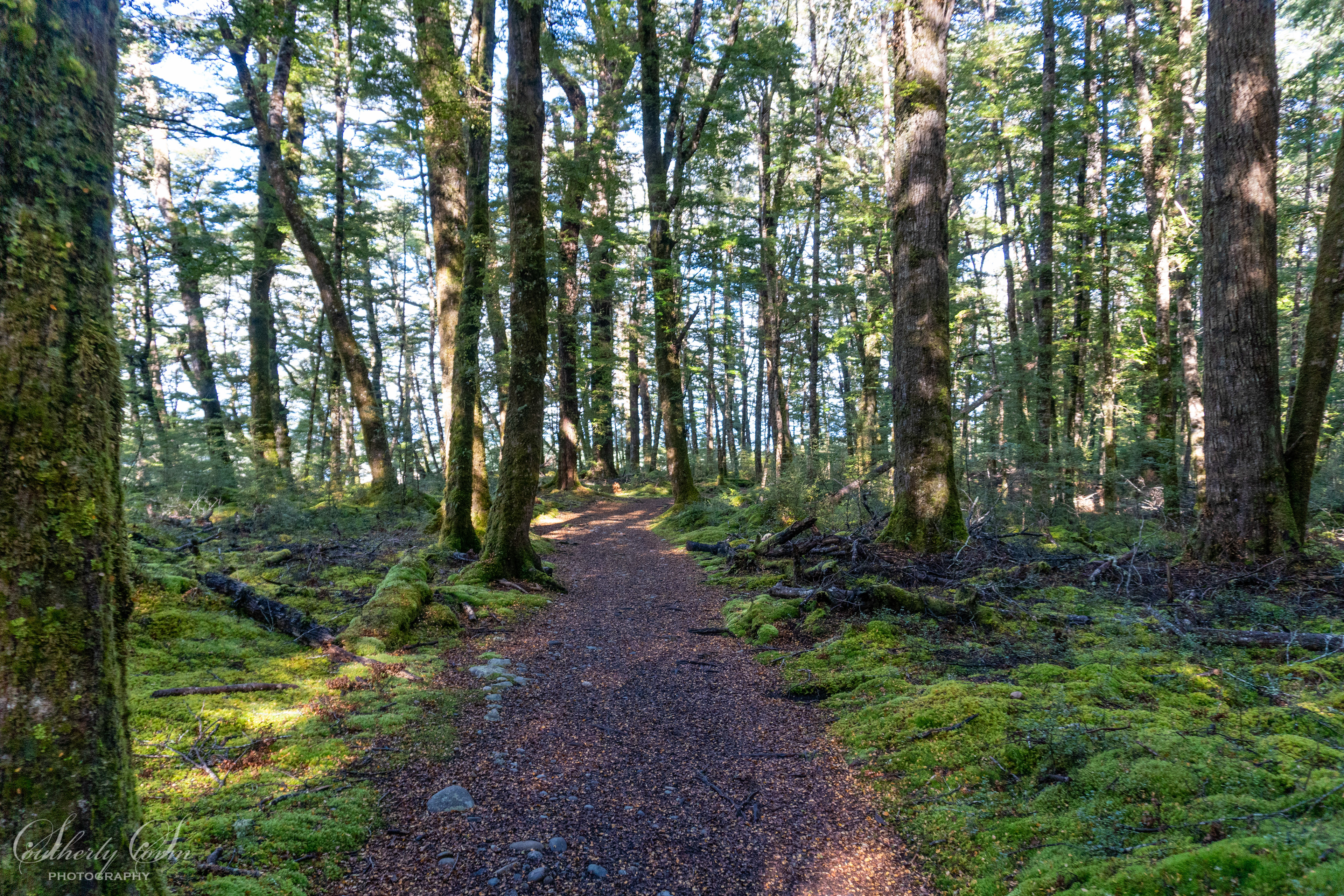 The Kepler Track