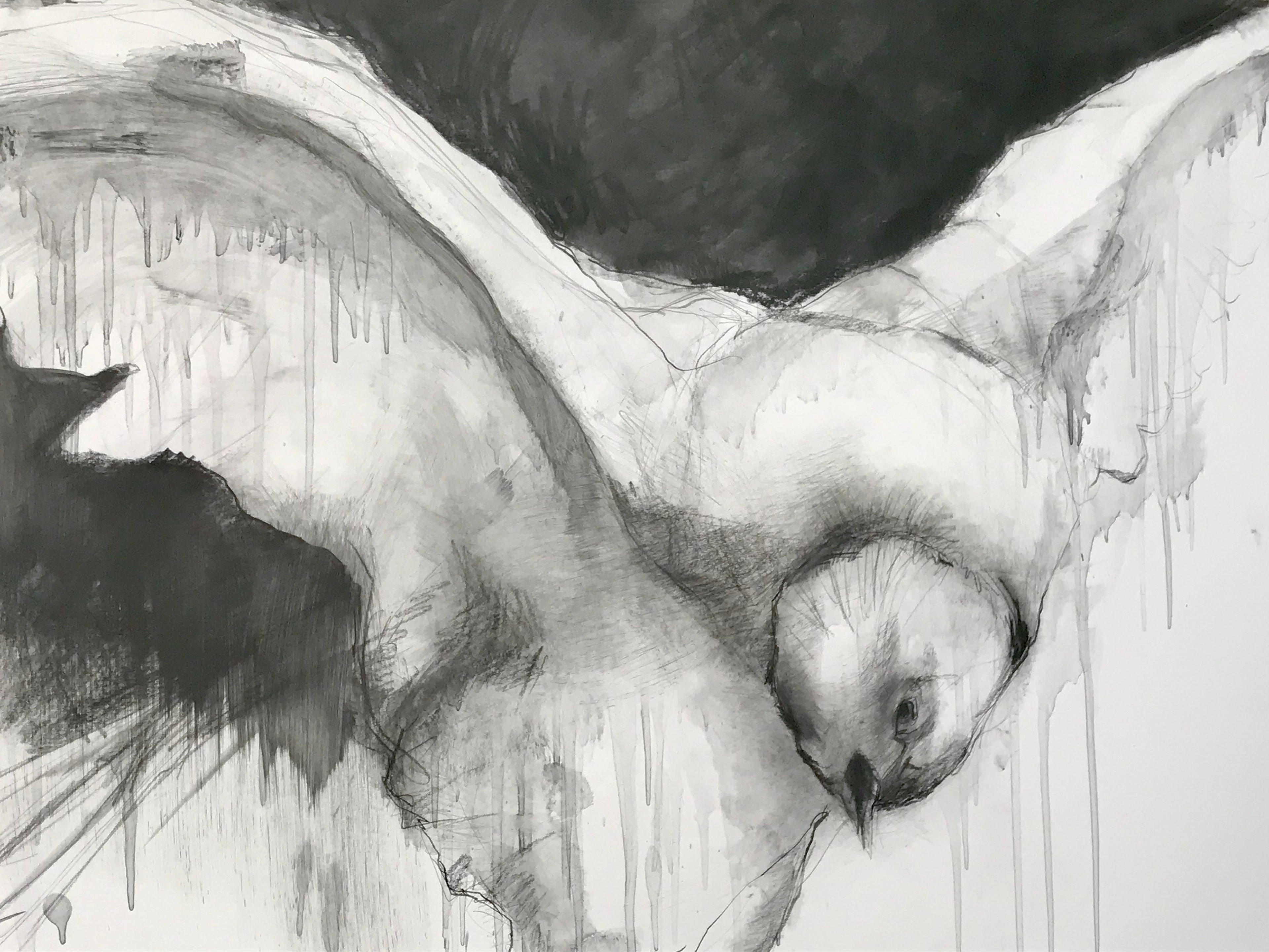 "Der Falke" - Grafittechnik auf Papier (90 x 70 cm)