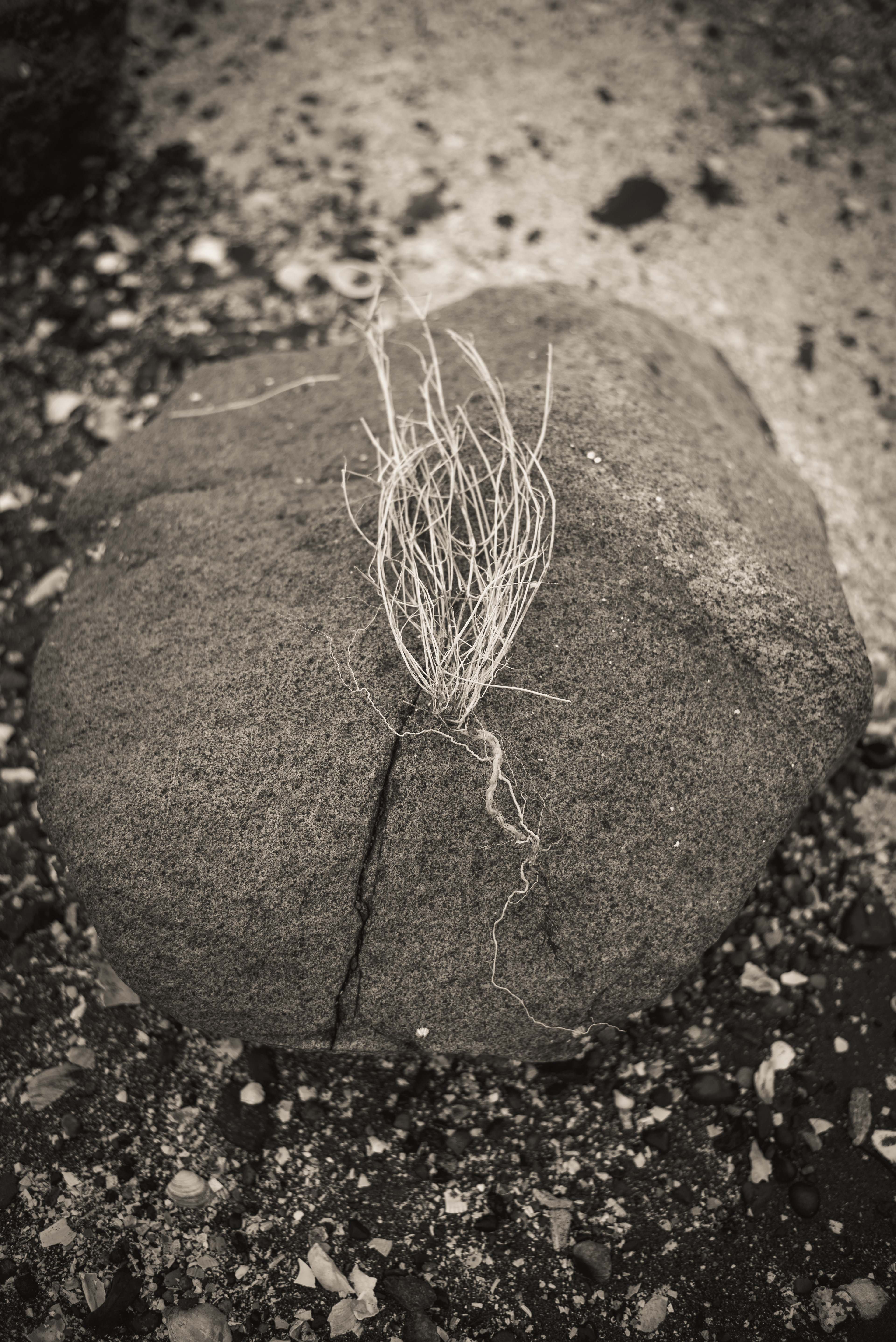 Offering II