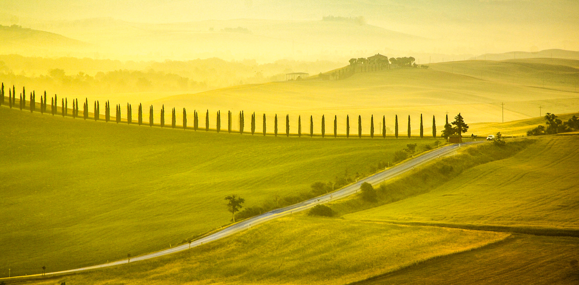 "Dawn Cypress", Bagno Vignoni, Tuscany, 2007