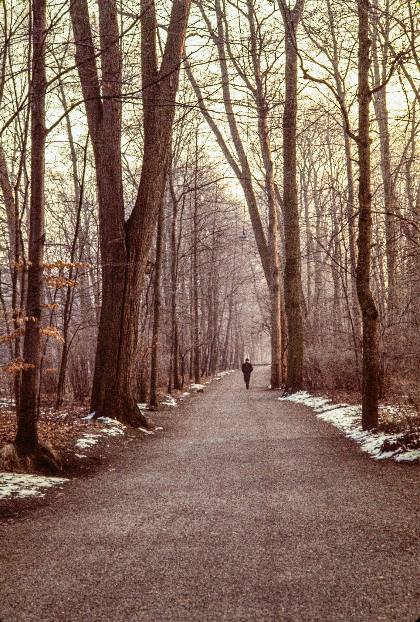 "Solitude", Tübingen, Germany, 1976