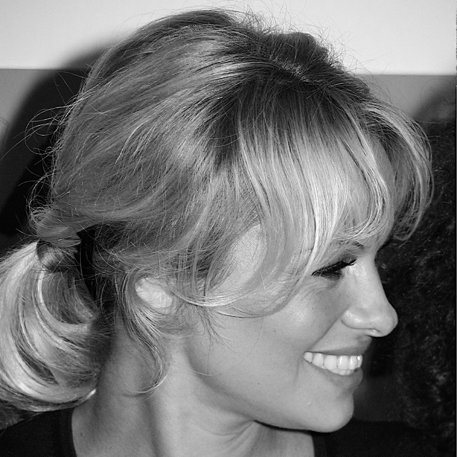 Pamela Anderson (2003)