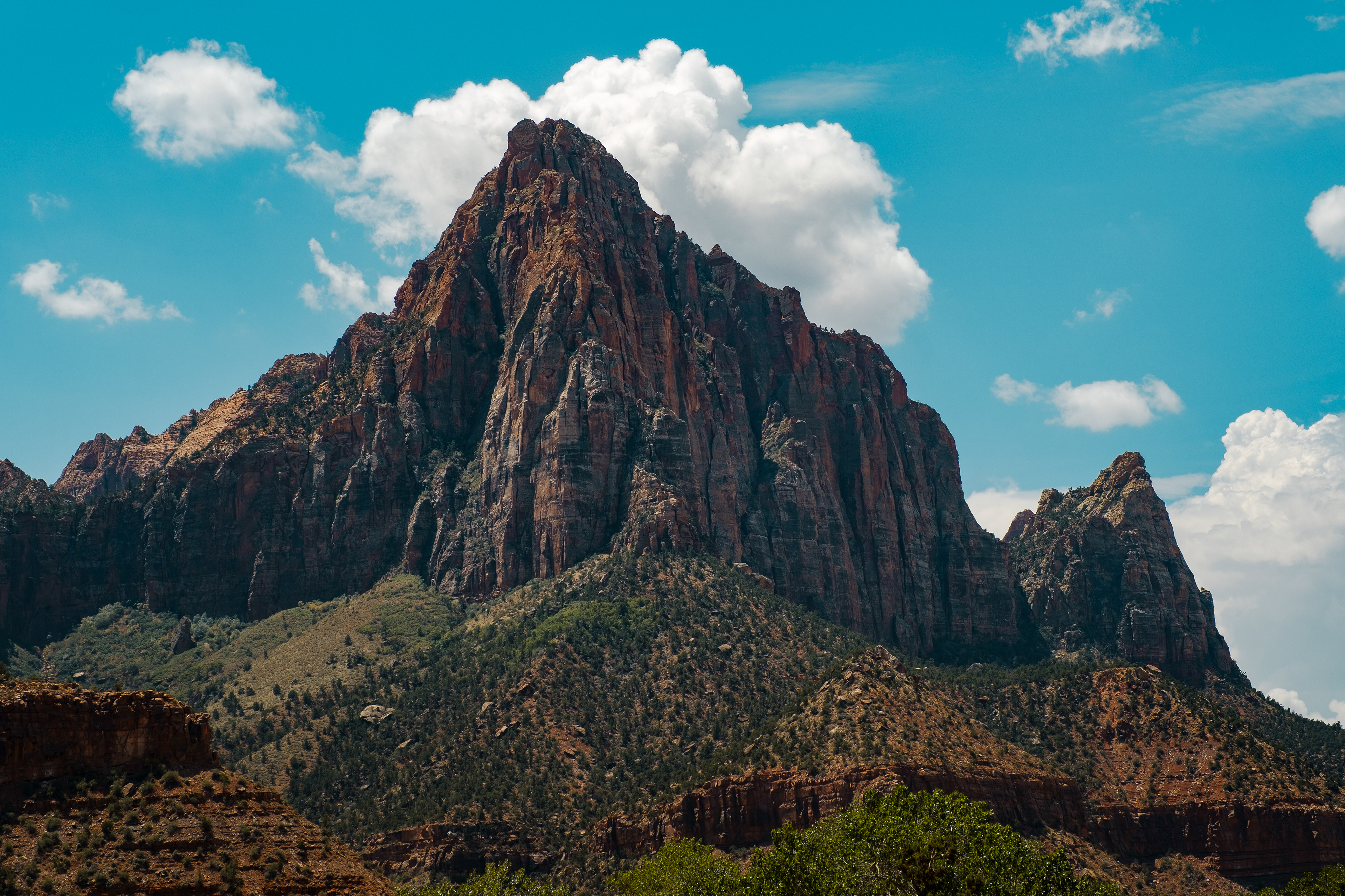 The Watchman
