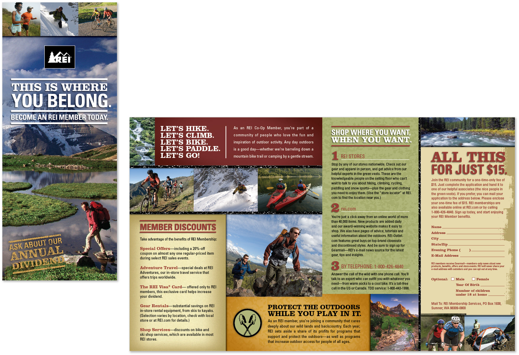 REI membership informational brochure—Design and production
