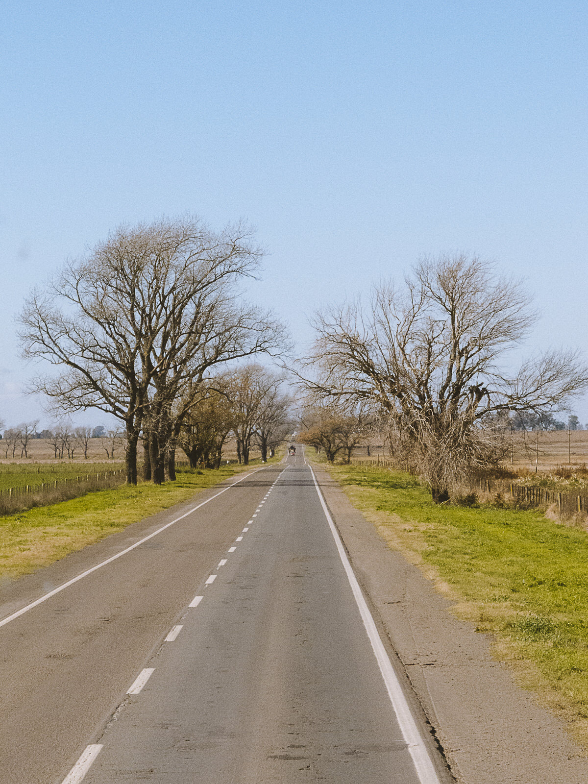 Carreteras Argentinas en otoño